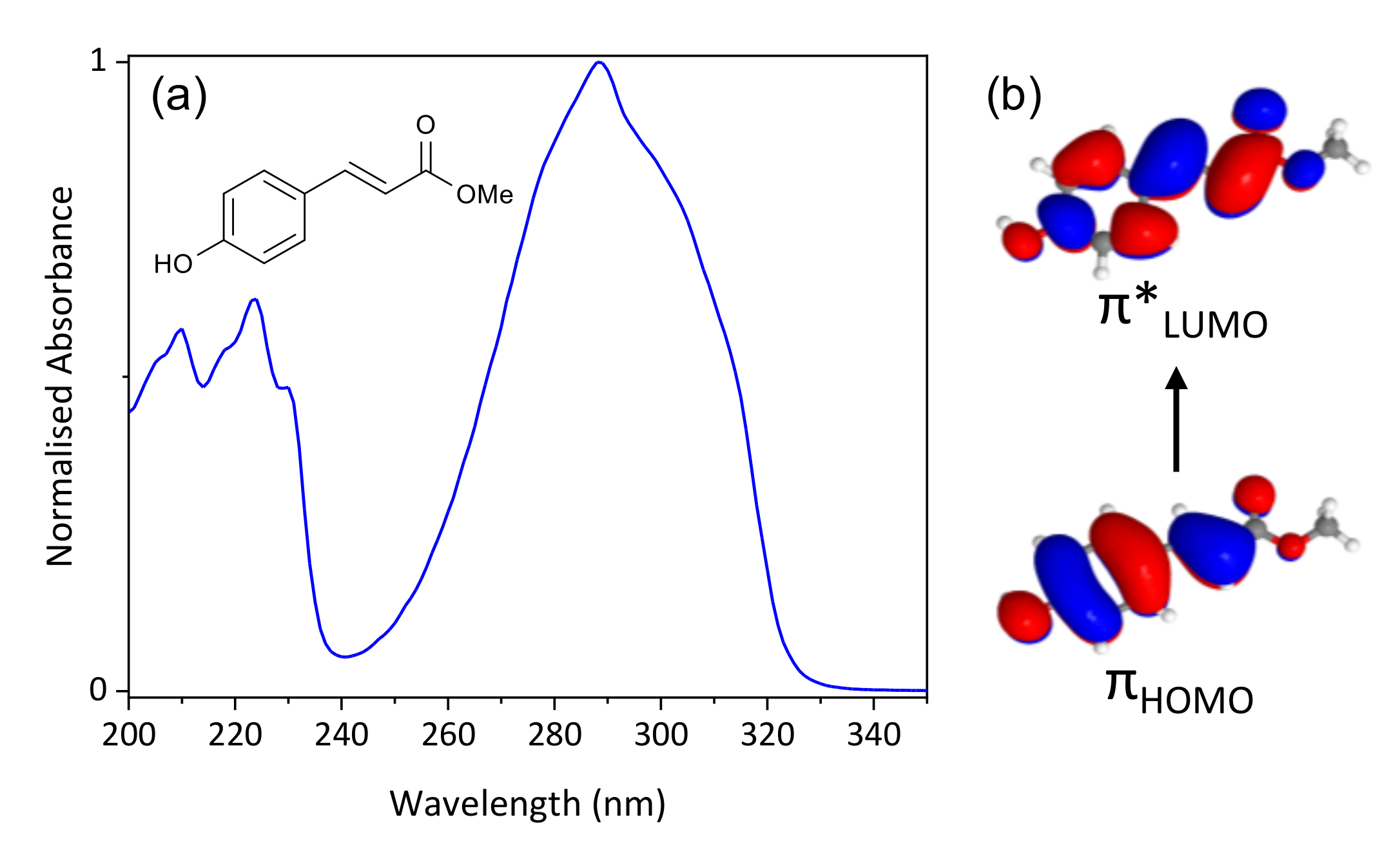 Molecules 26 07621 g001