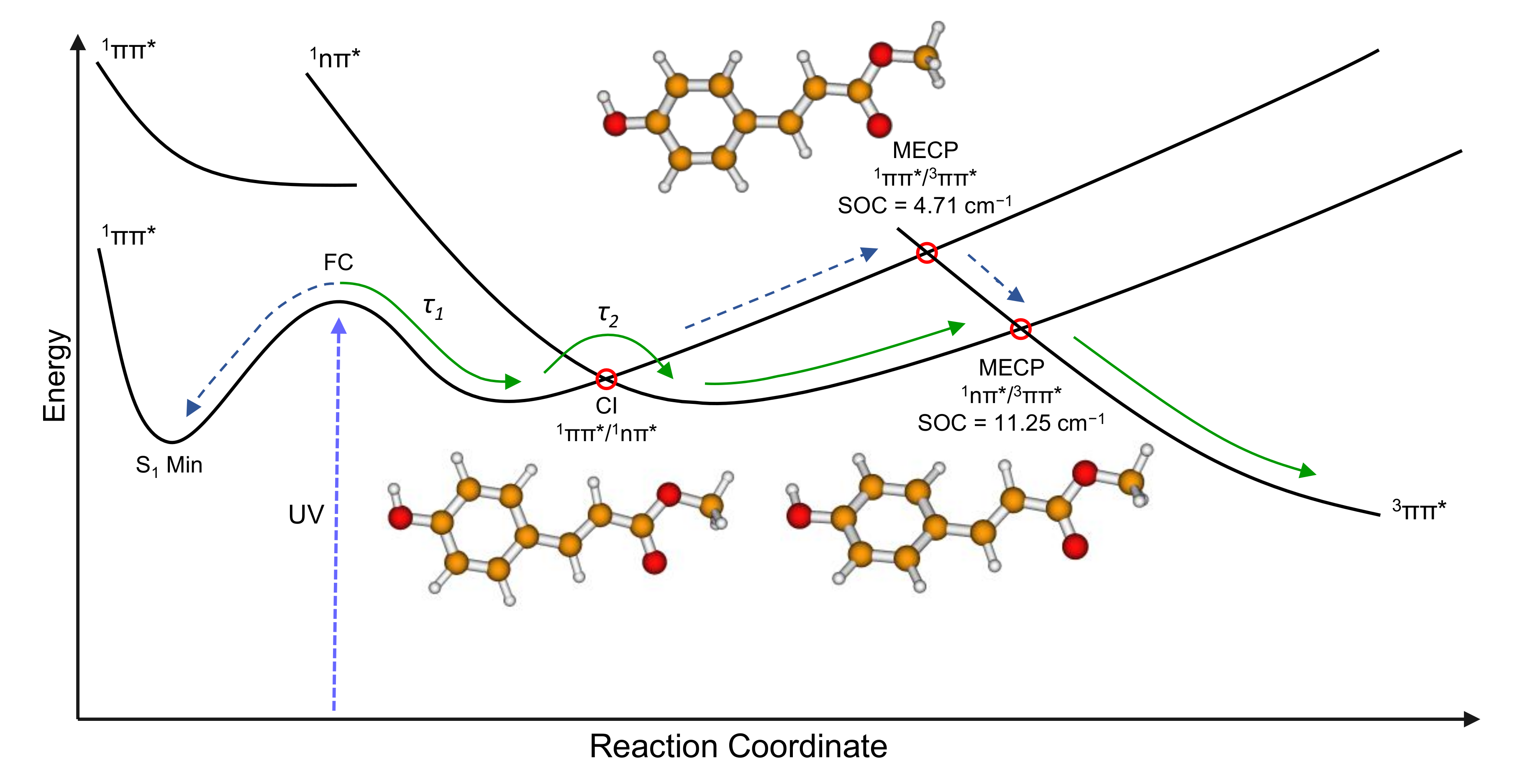 Molecules 26 07621 g008