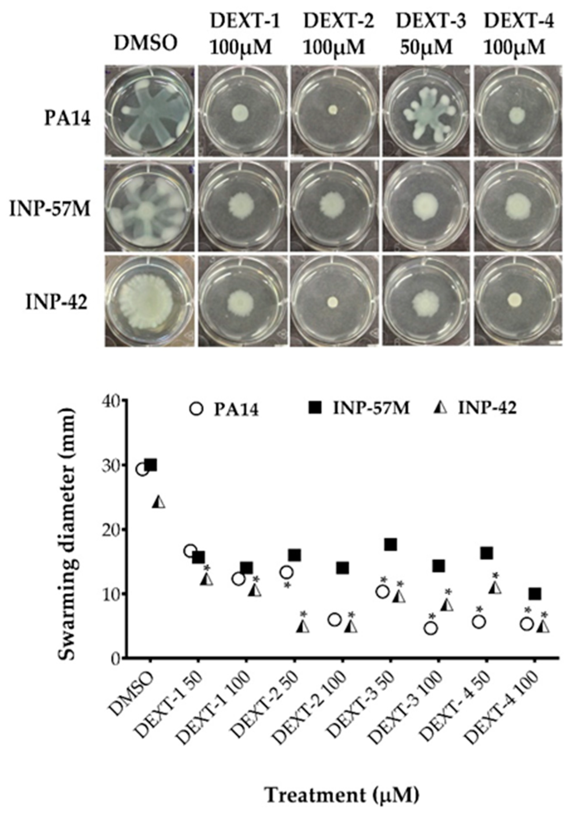 Molecules 26 07635 g002