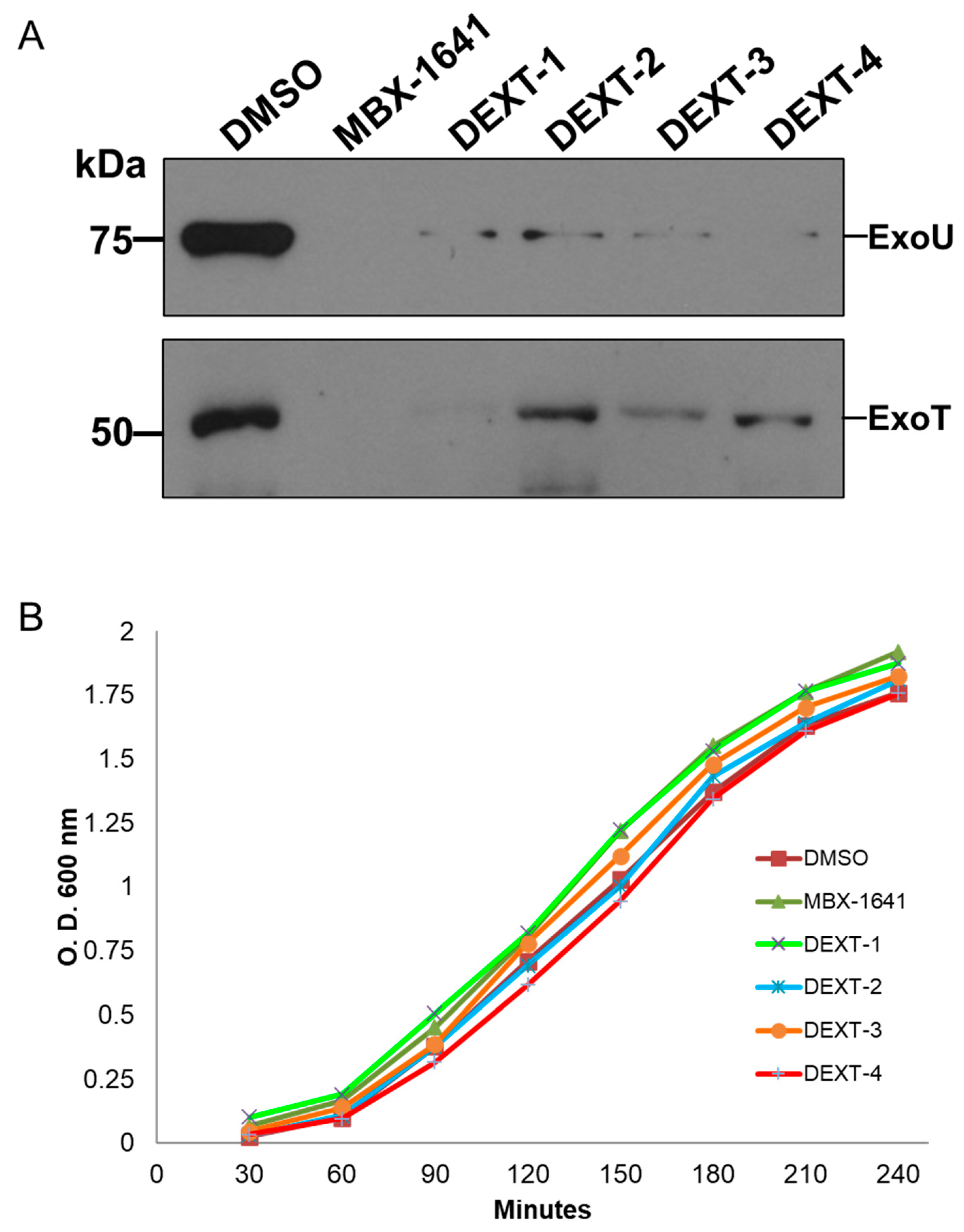 Molecules 26 07635 g004