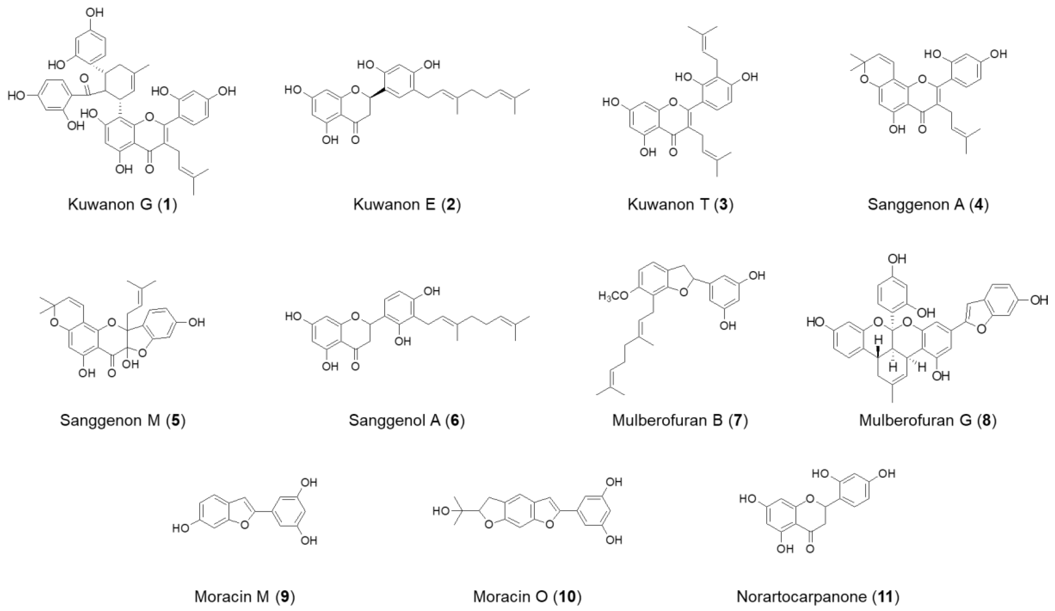 Molecules 26 07642 g001