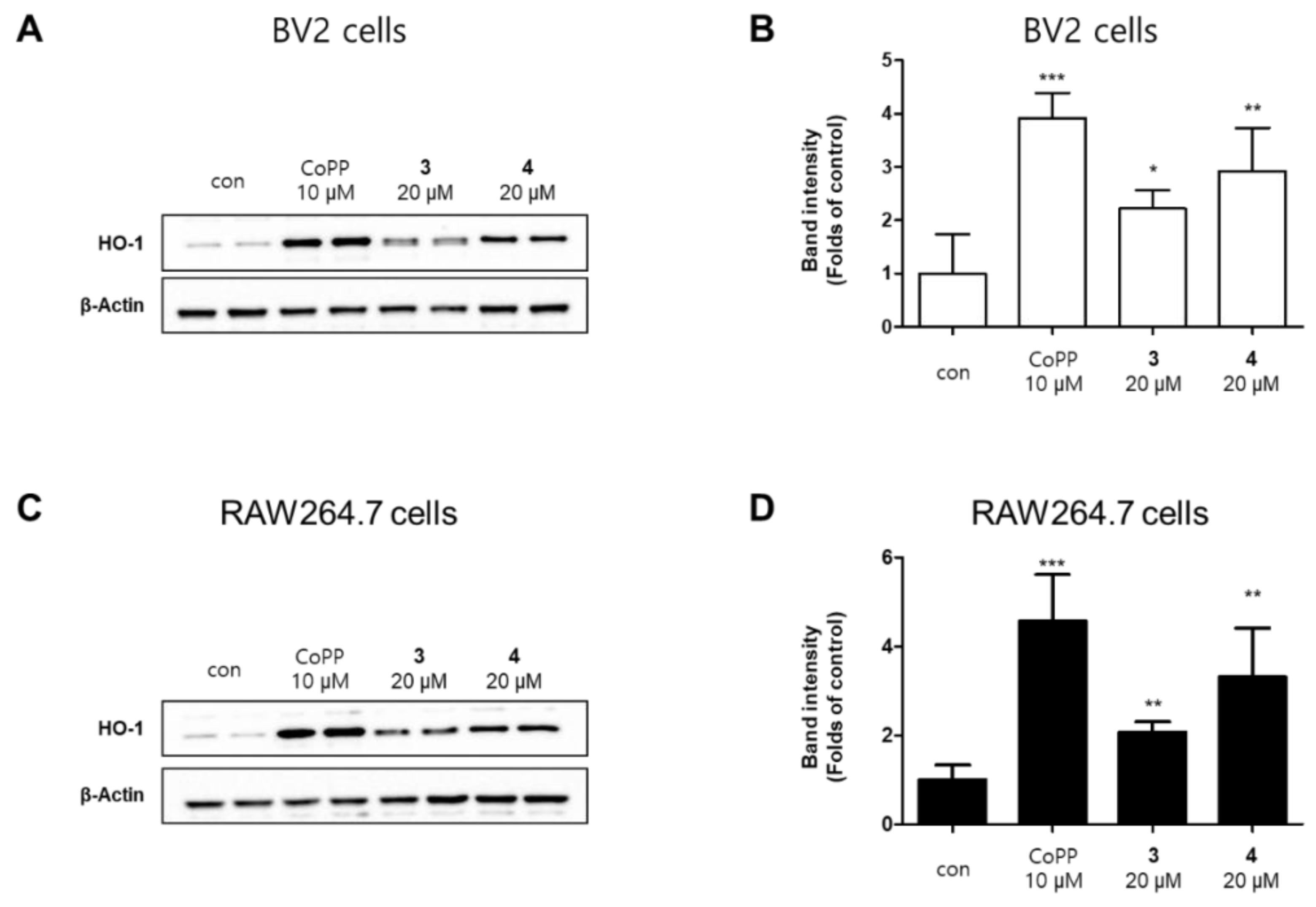 Molecules 26 07642 g007