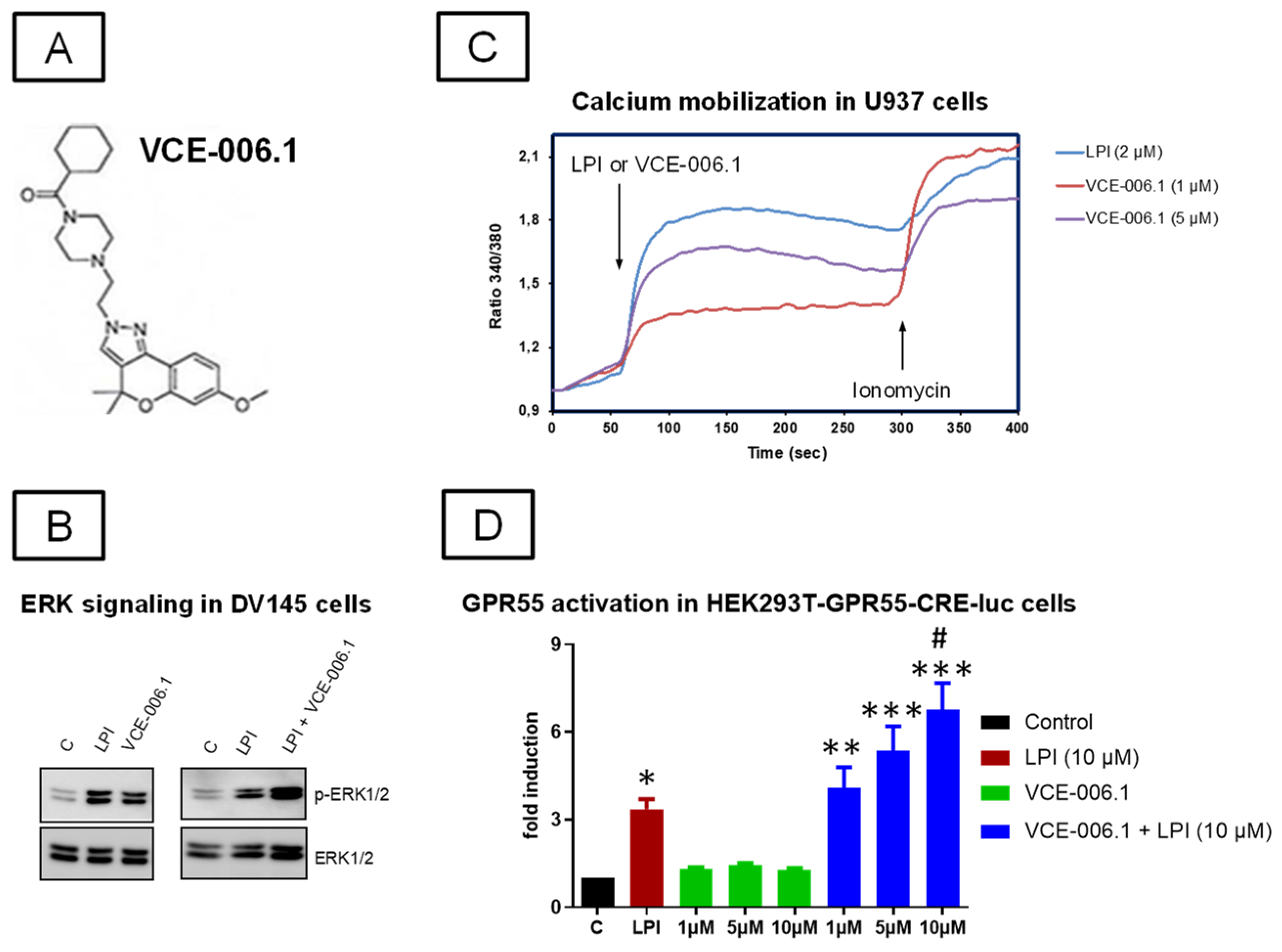 Molecules 26 07643 g001
