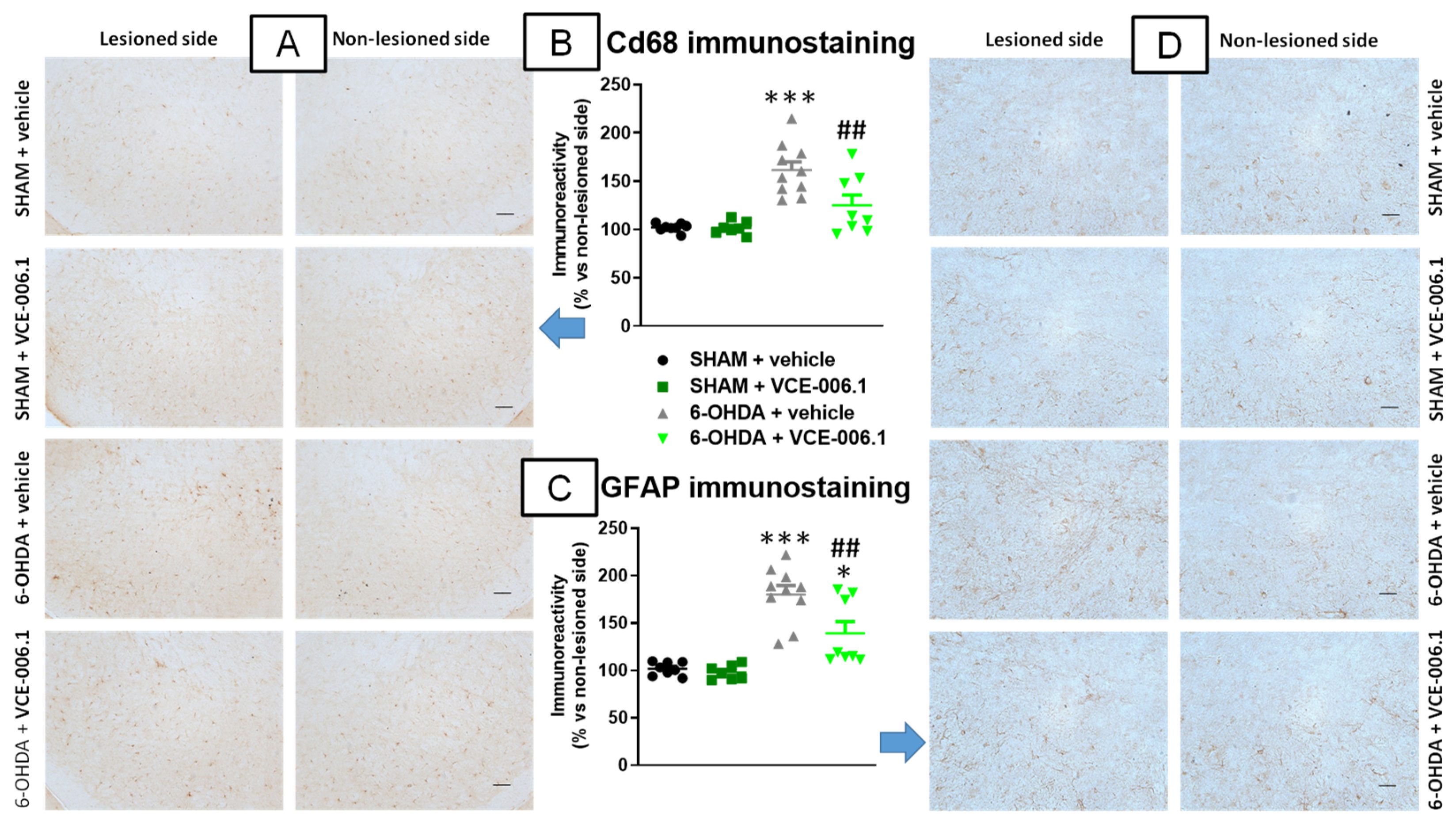 Molecules 26 07643 g004