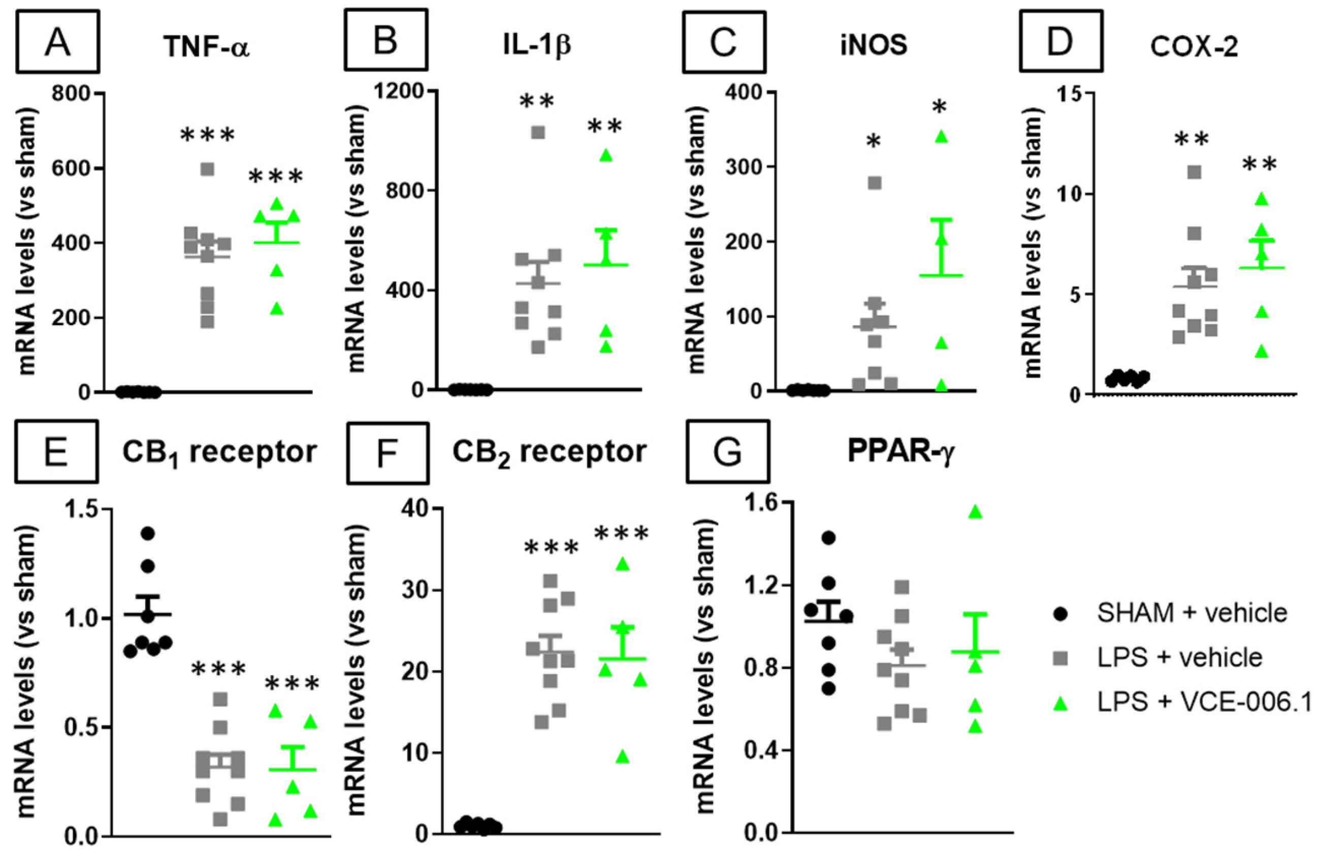 Molecules 26 07643 g008