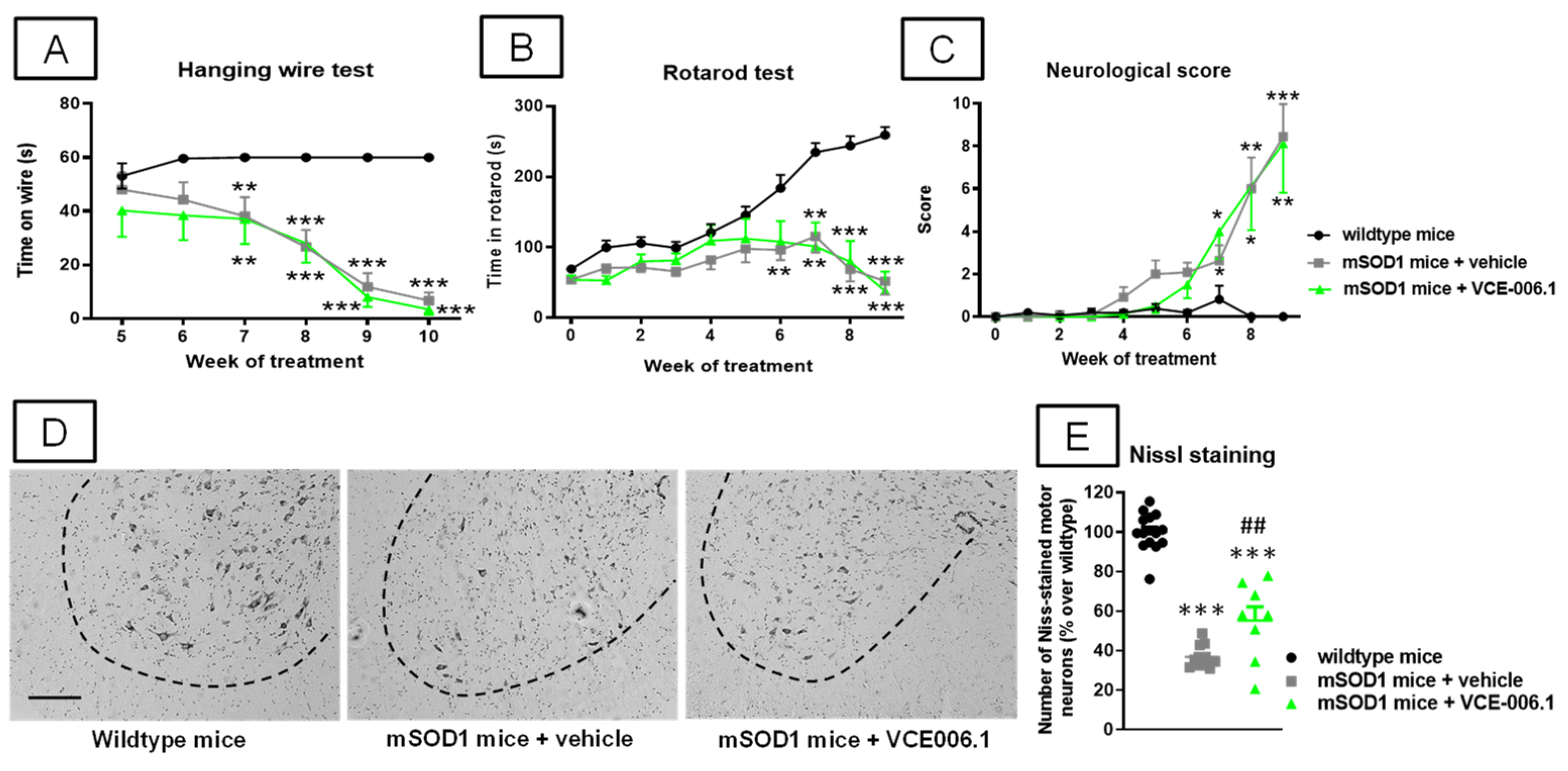 Molecules 26 07643 g010