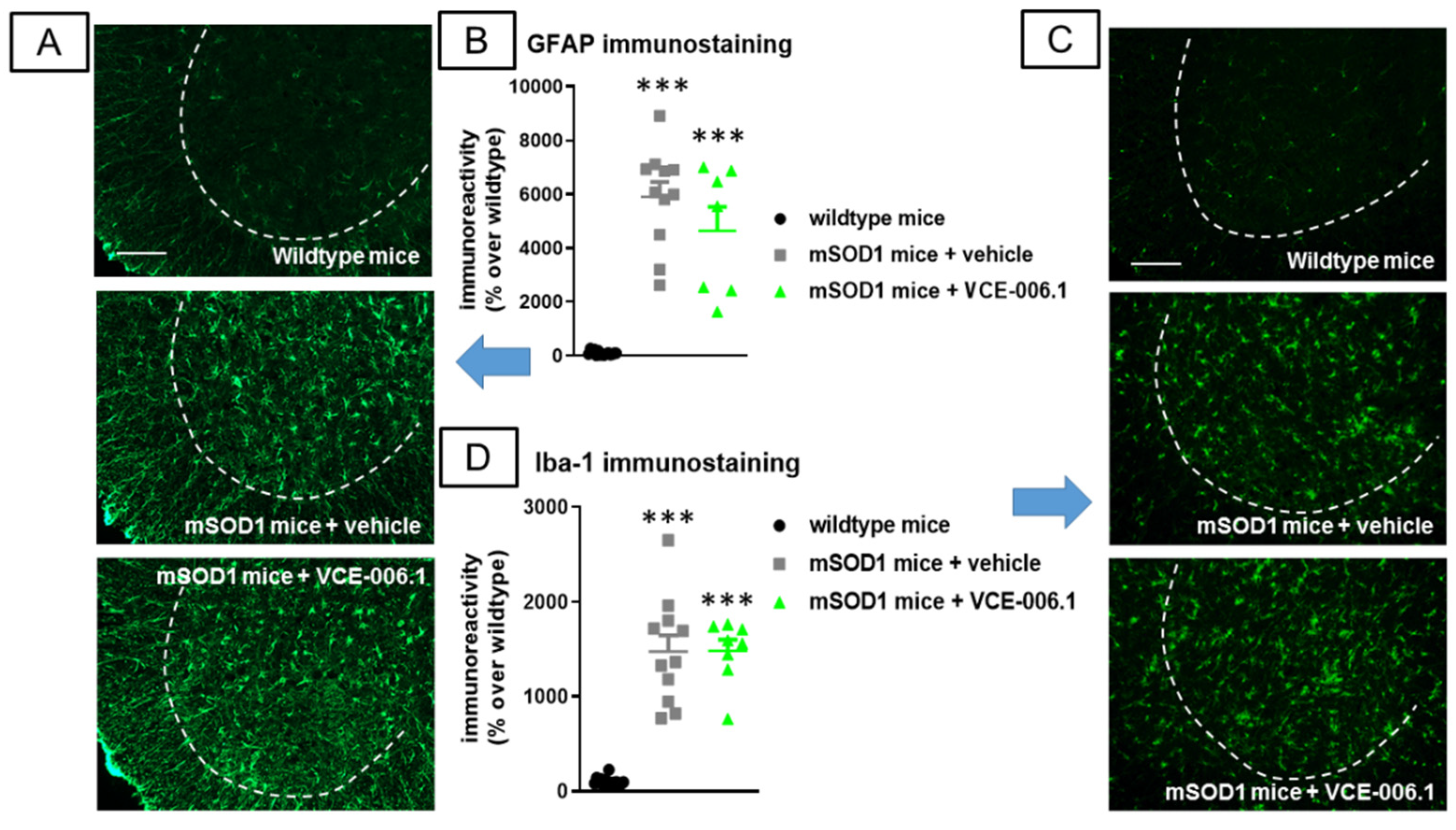 Molecules 26 07643 g011