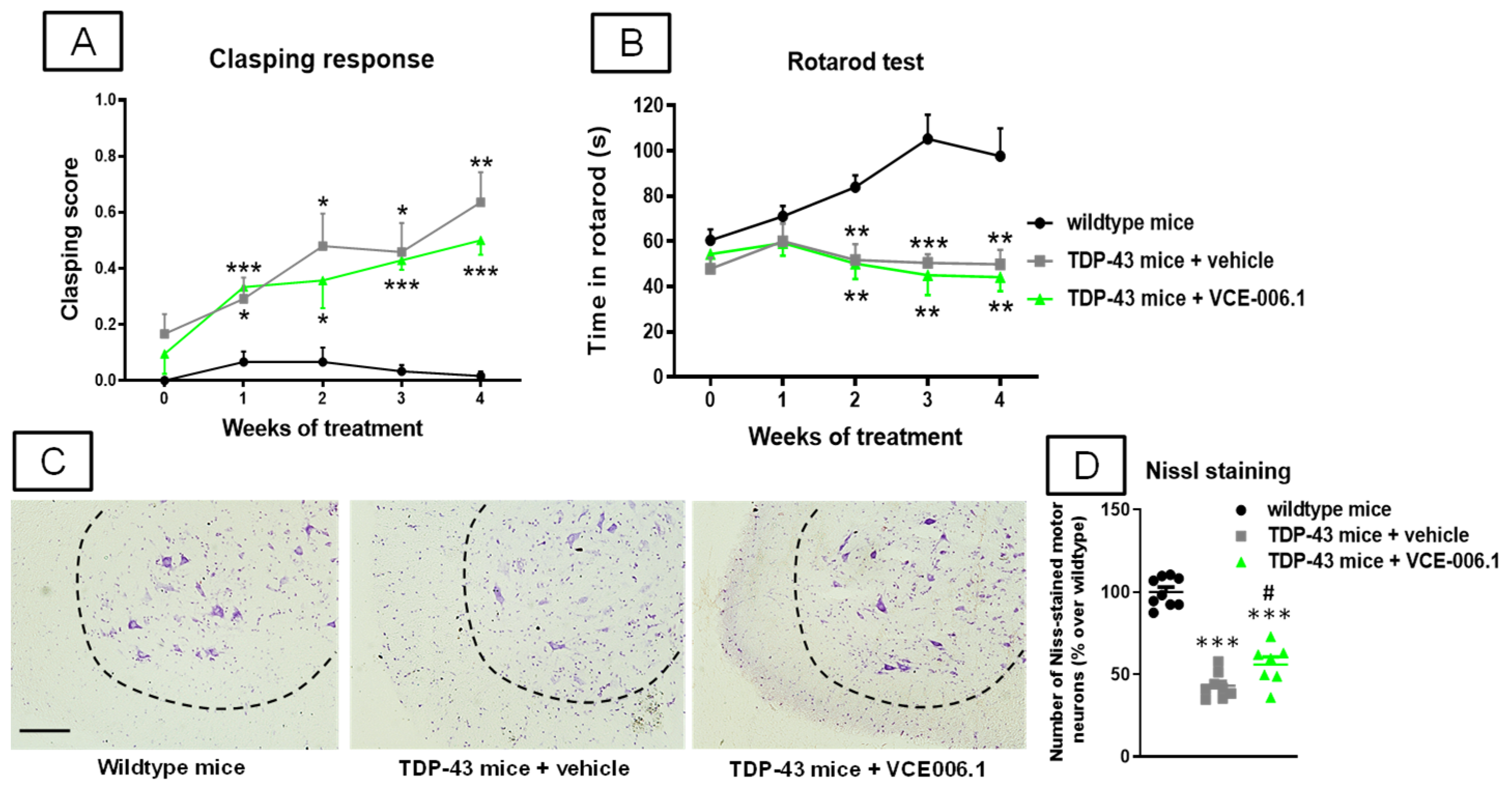 Molecules 26 07643 g012