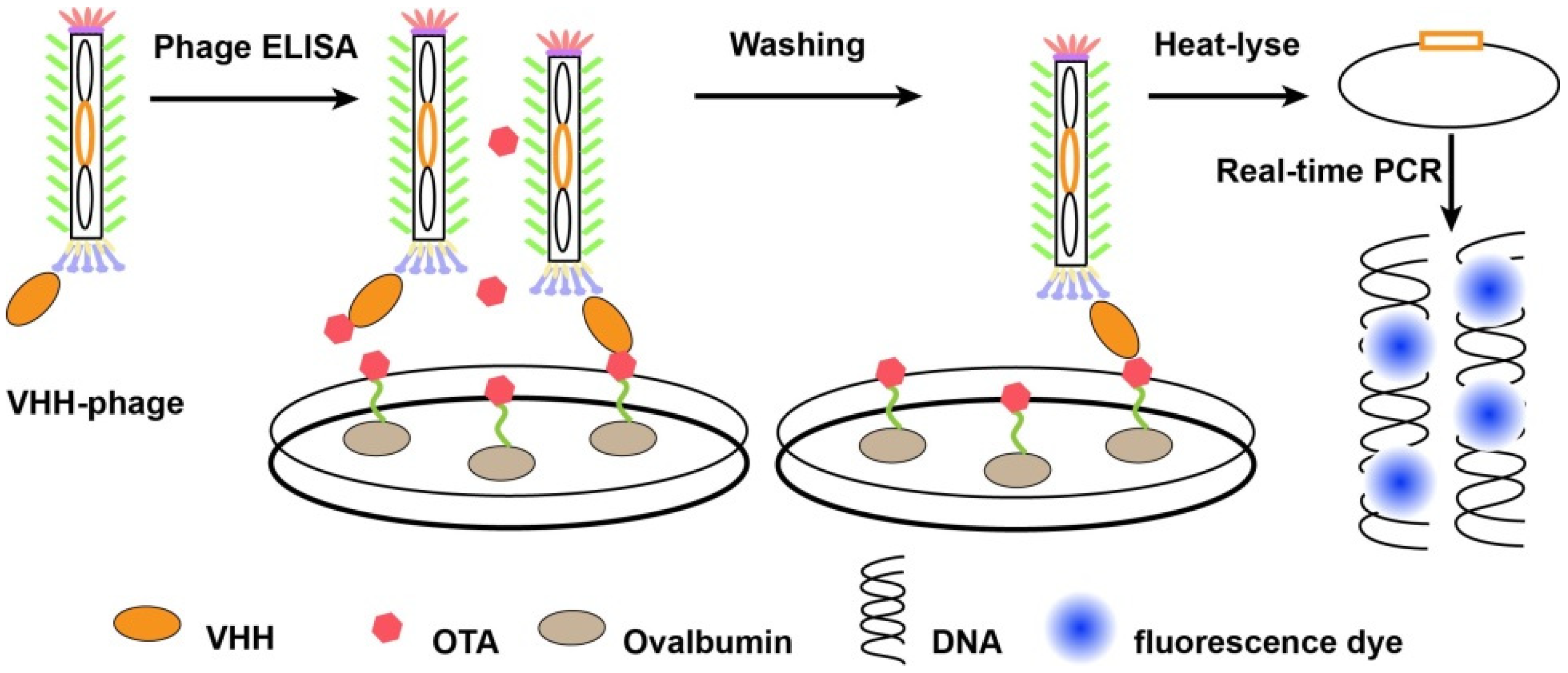 Molecules 26 07652 g004