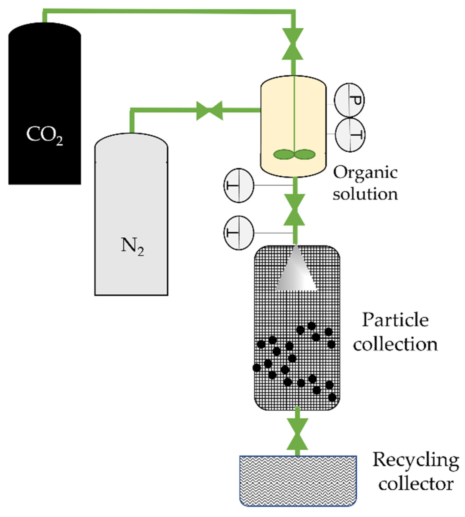 Molecules 26 07653 g006 Molecules 26 07653 g006