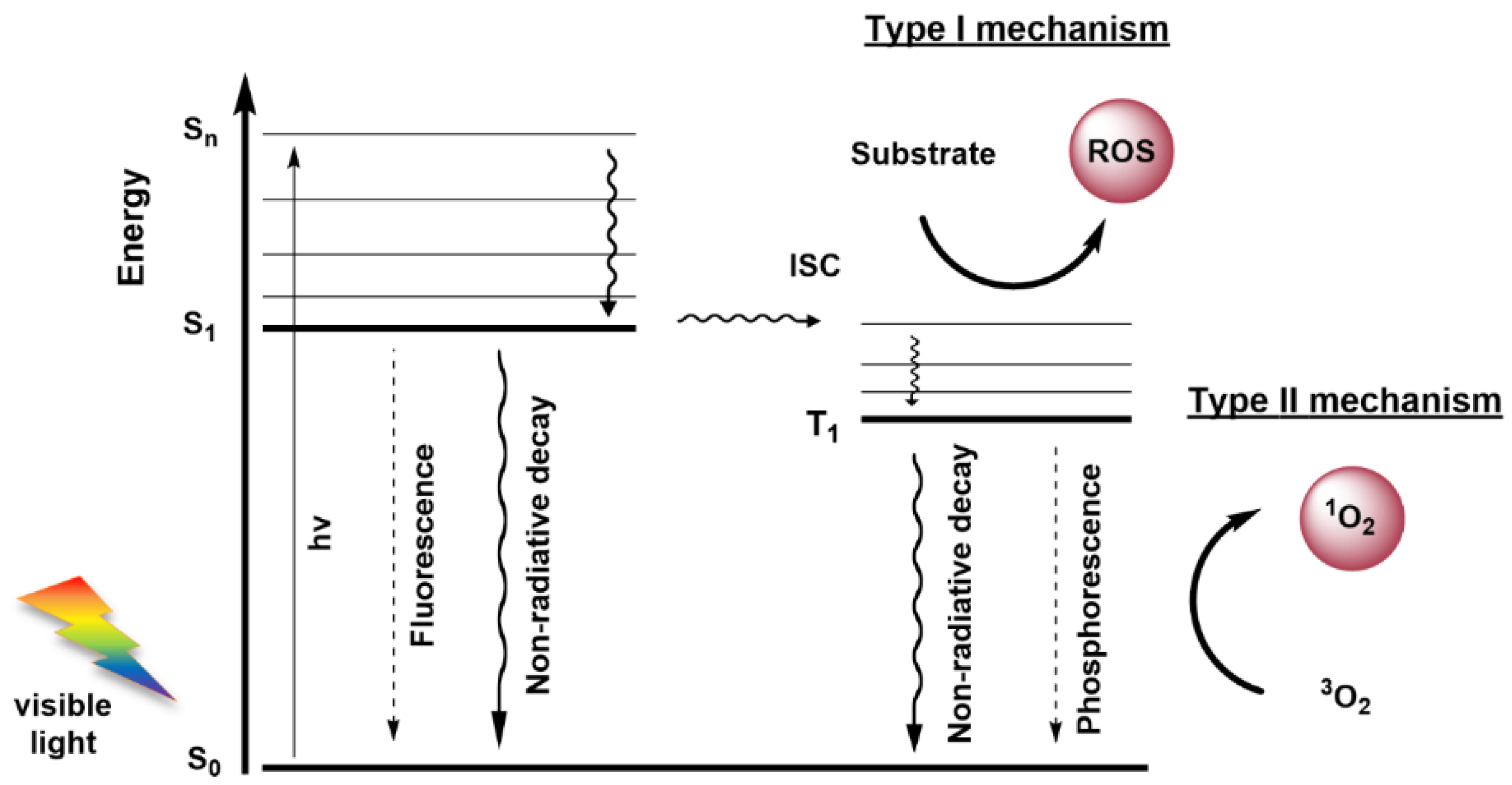 Molecules 26 07654 g001 Molecules 26 07654 g001