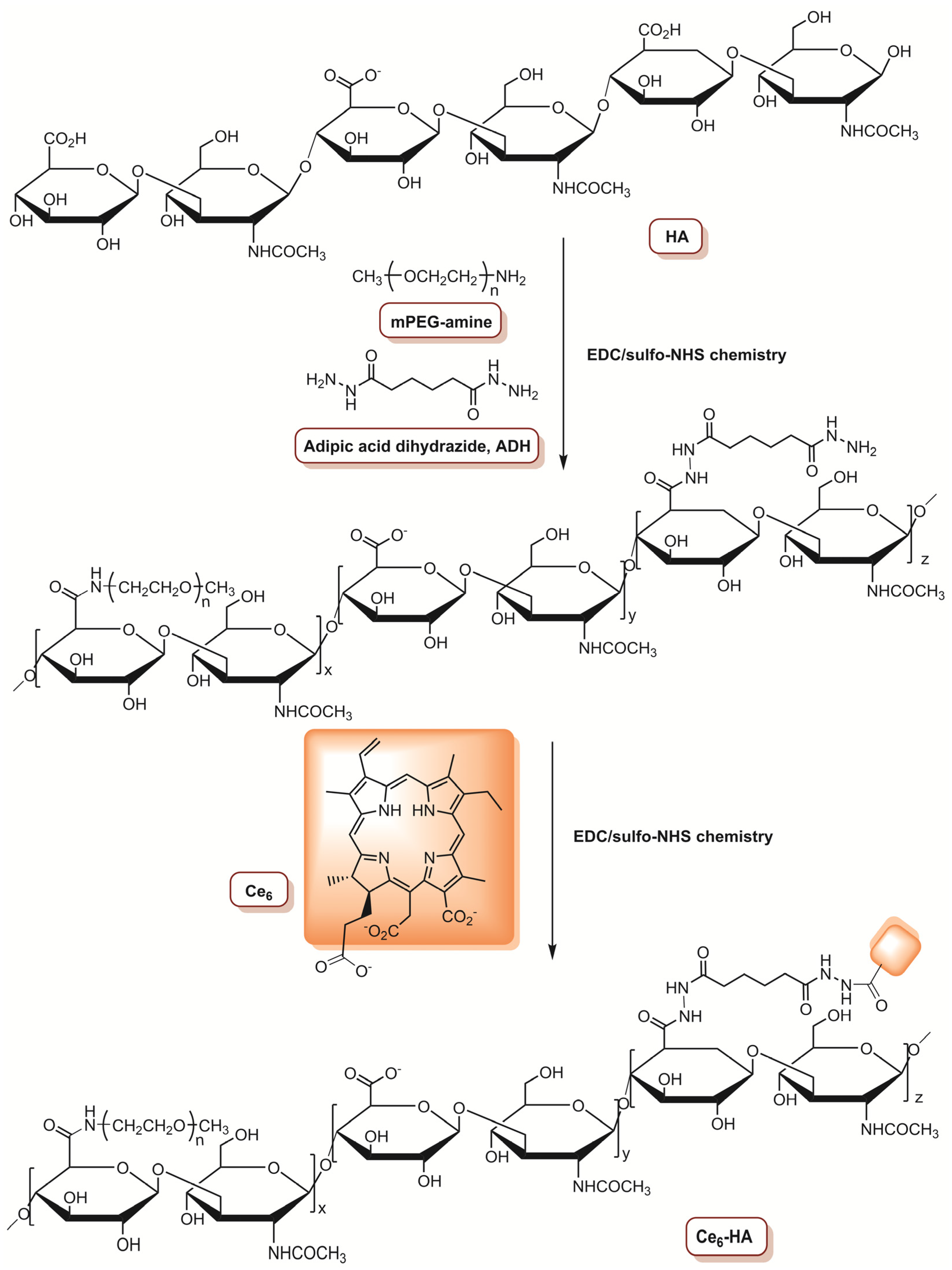 Molecules 26 07654 g003 Molecules 26 07654 g003