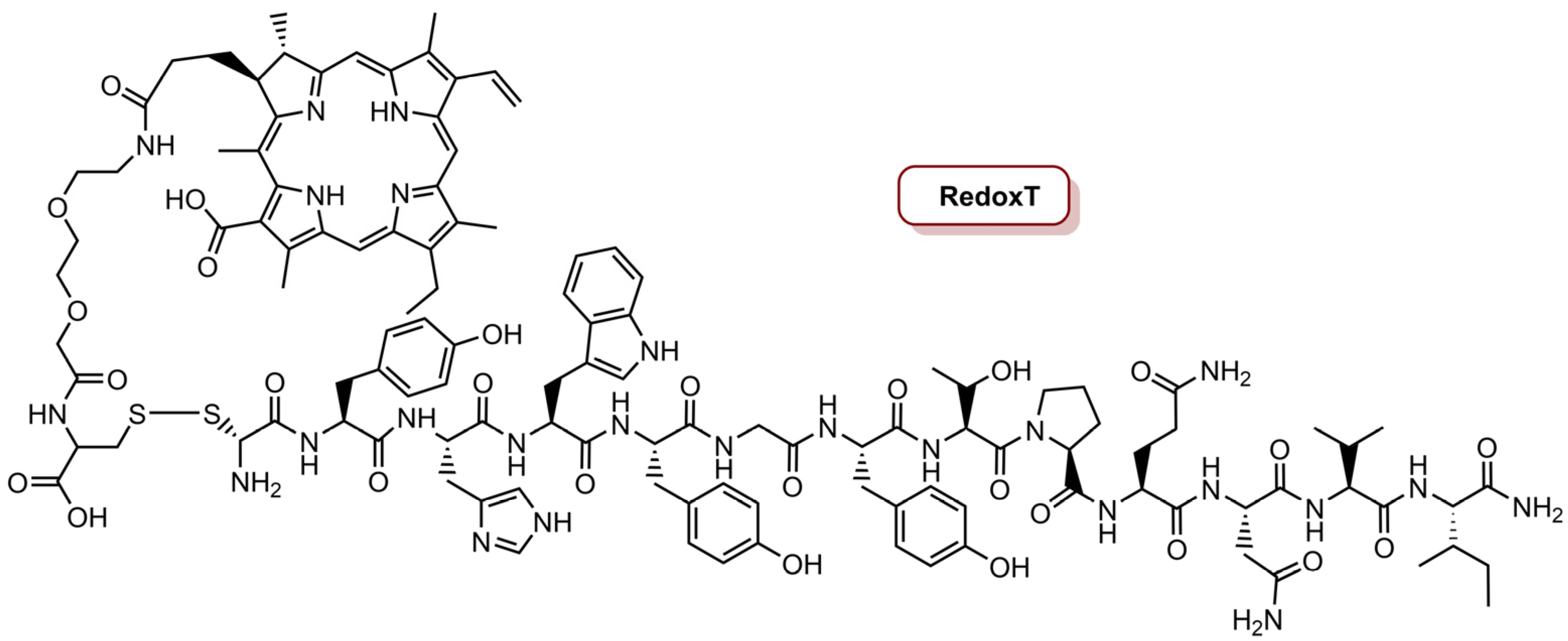 Molecules 26 07654 g004 Molecules 26 07654 g004