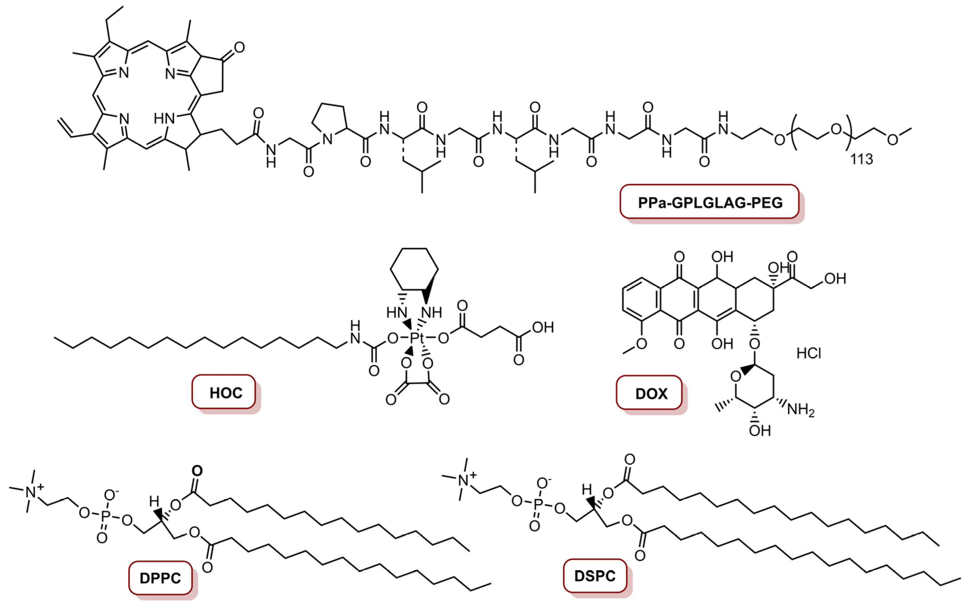 Molecules 26 07654 g006 Molecules 26 07654 g006