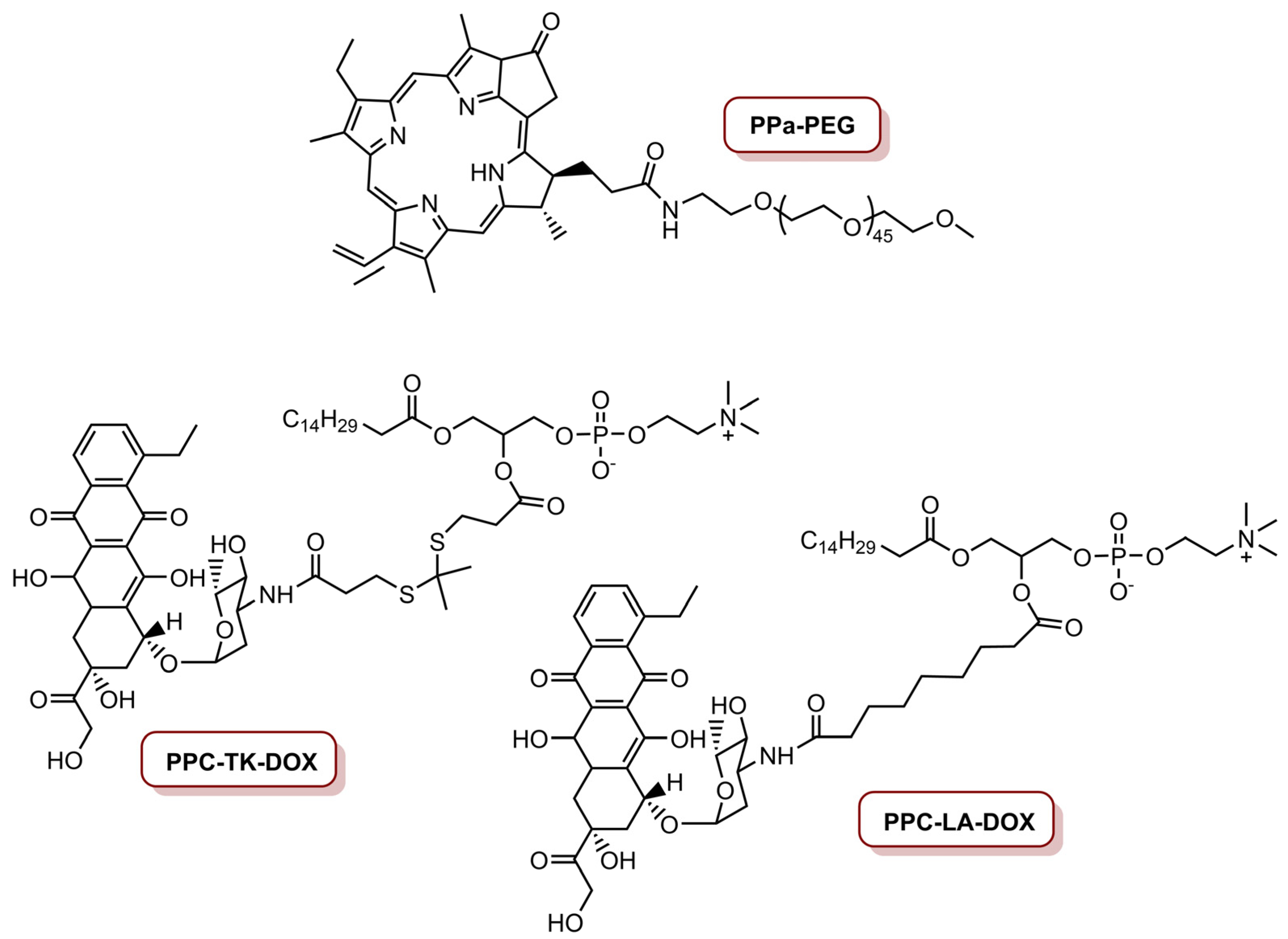 Molecules 26 07654 g007 Molecules 26 07654 g007