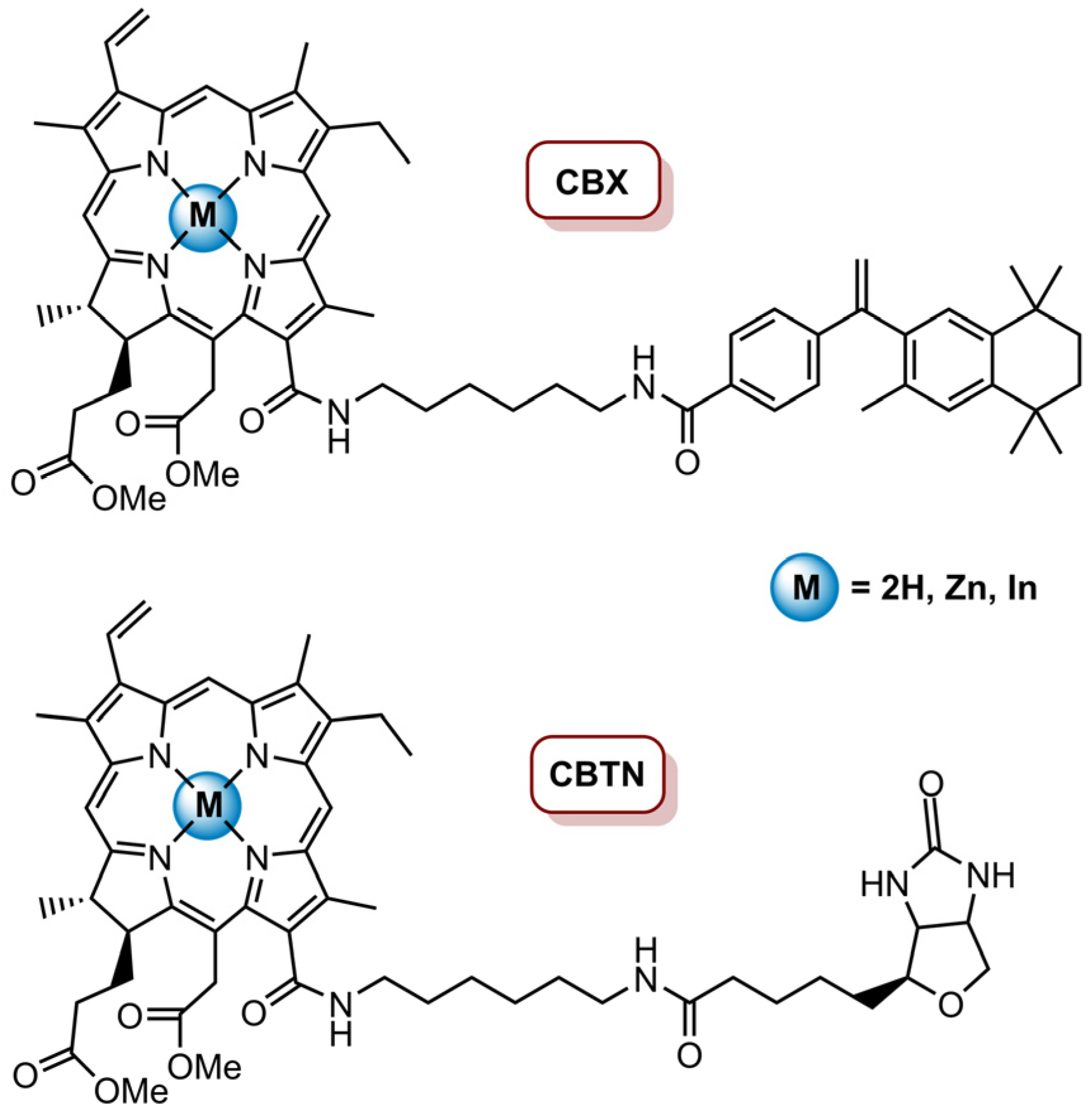 Molecules 26 07654 g011 Molecules 26 07654 g011