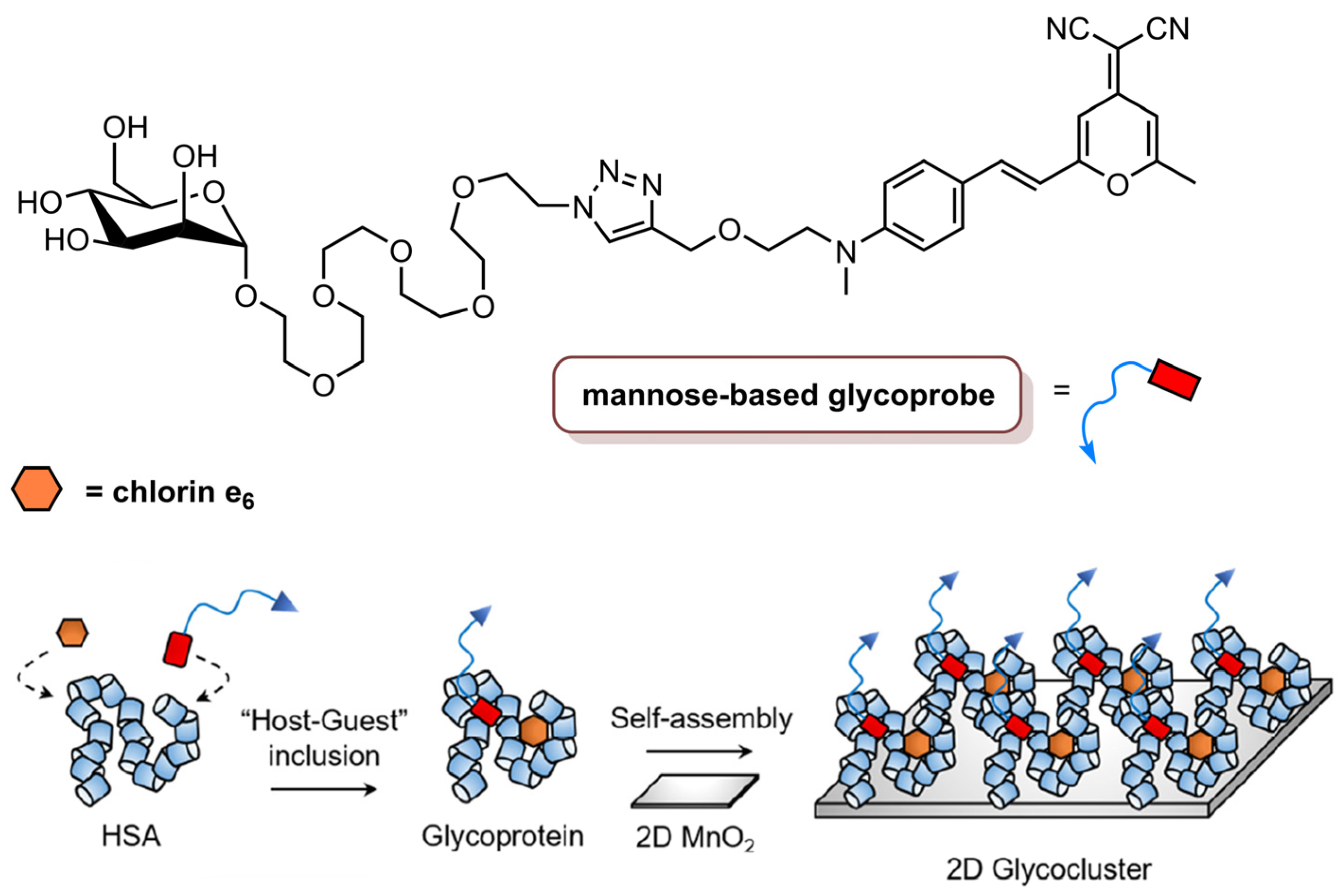 Molecules 26 07654 g012 Molecules 26 07654 g012