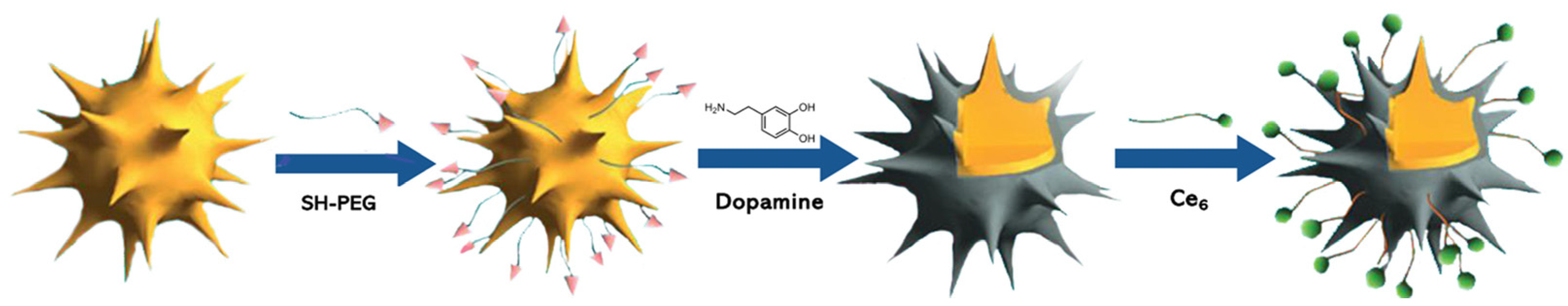 Molecules 26 07654 g014 Molecules 26 07654 g014