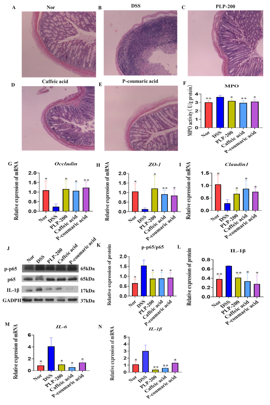 Molecules 26 07656 g002