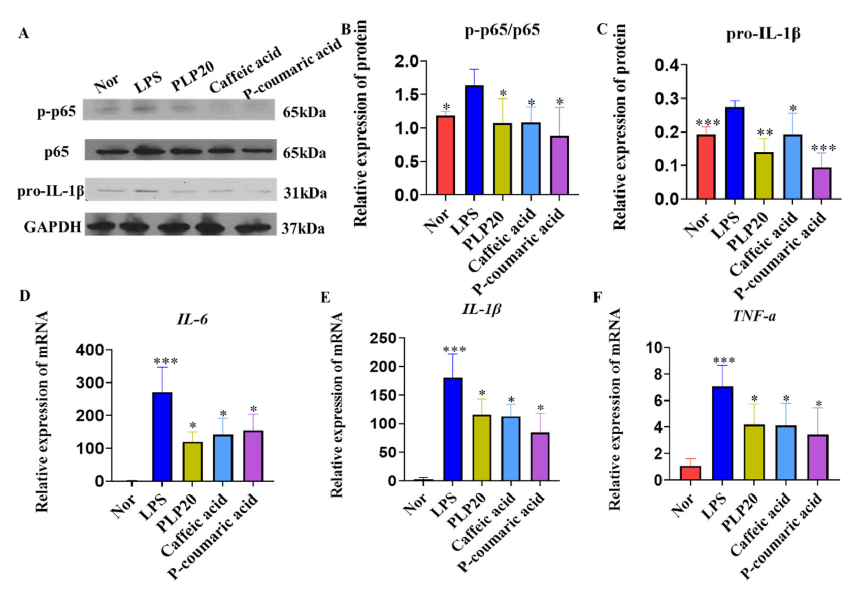 Molecules 26 07656 g003