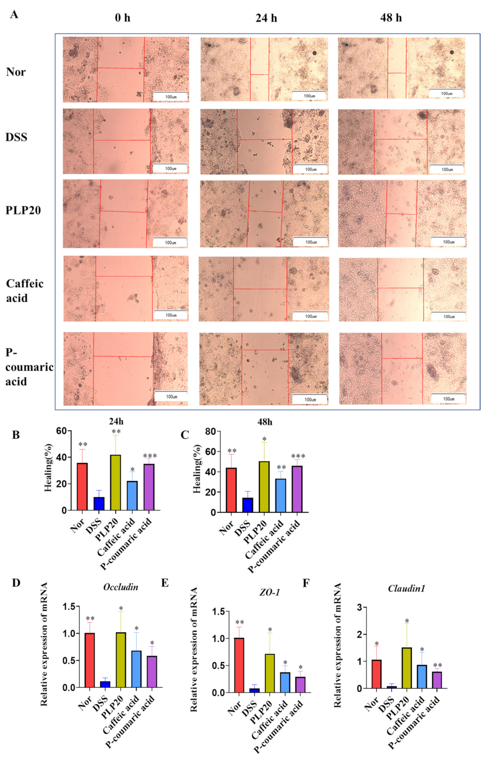 Molecules 26 07656 g004