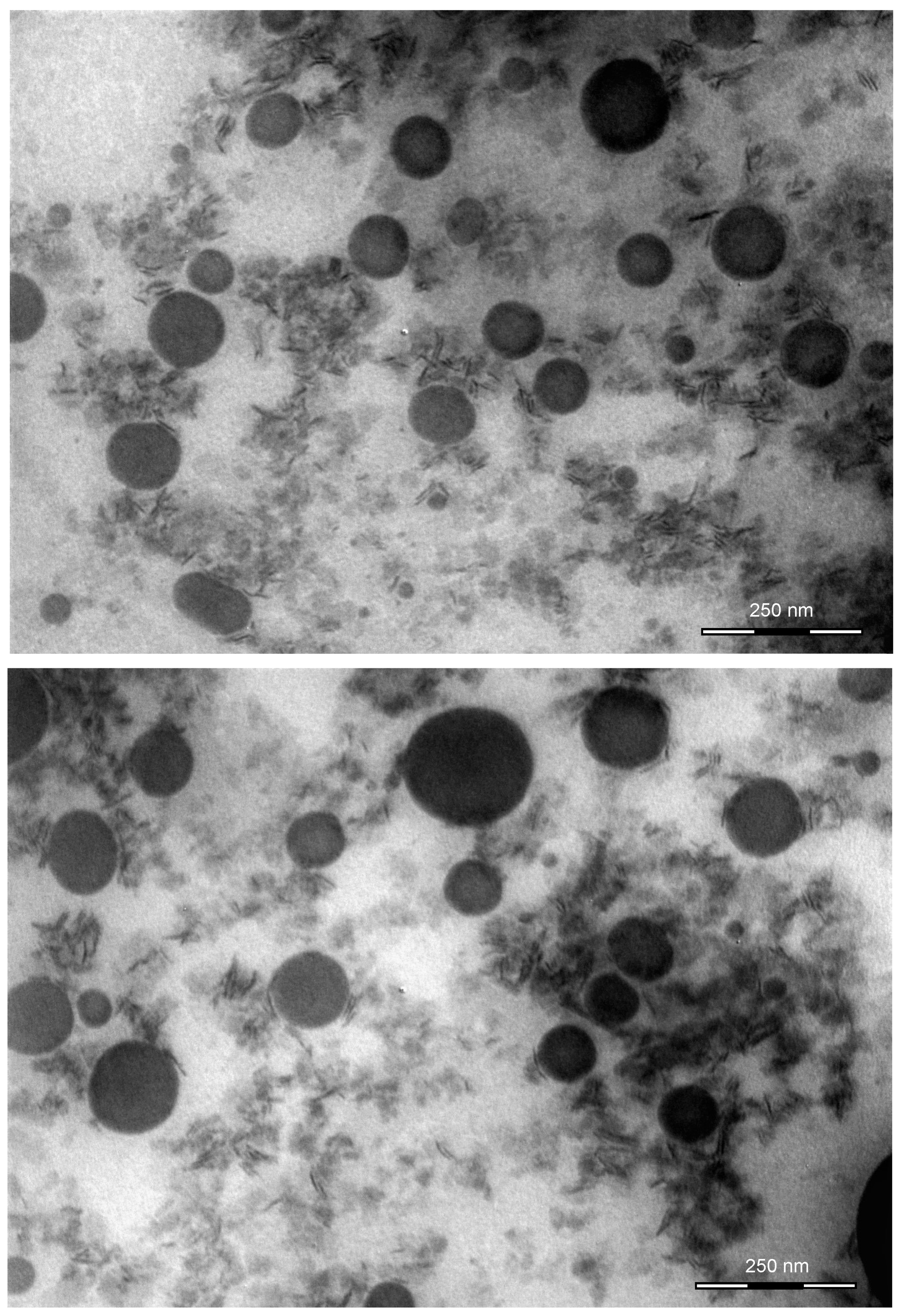 Molecules 26 07657 g005
