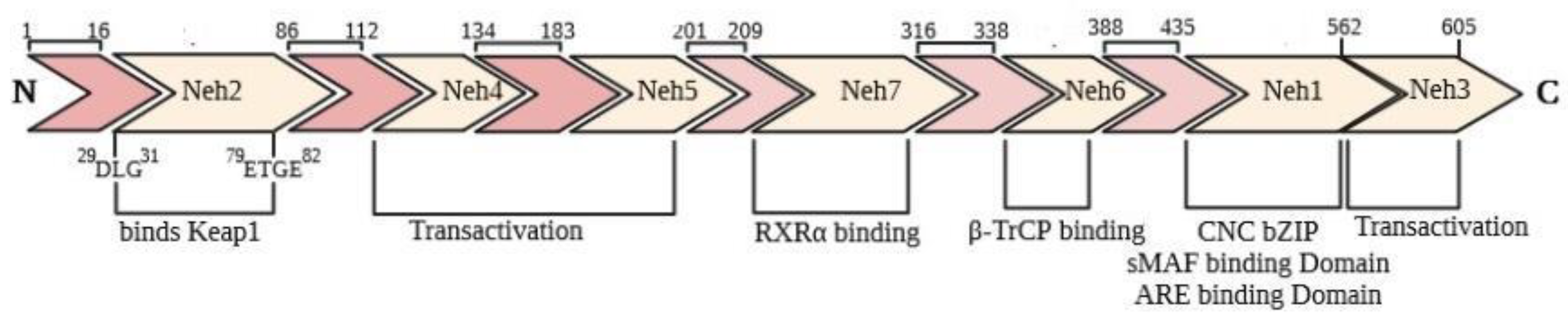 Molecules 26 07658 g001 Molecules 26 07658 g001