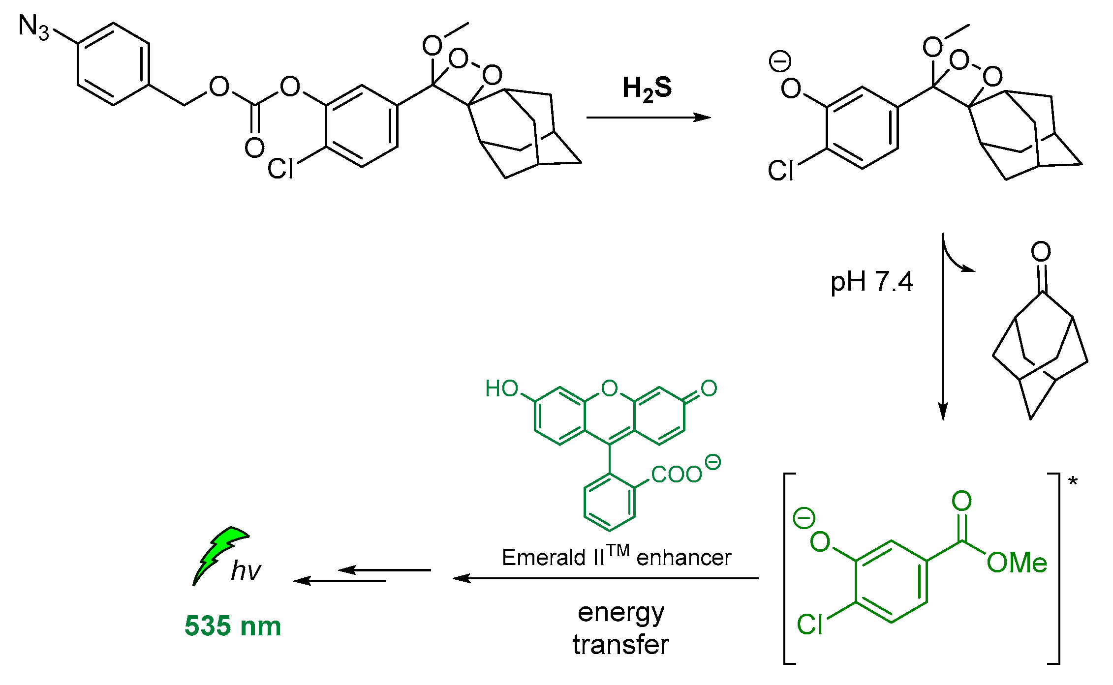 Molecules 26 07664 g014