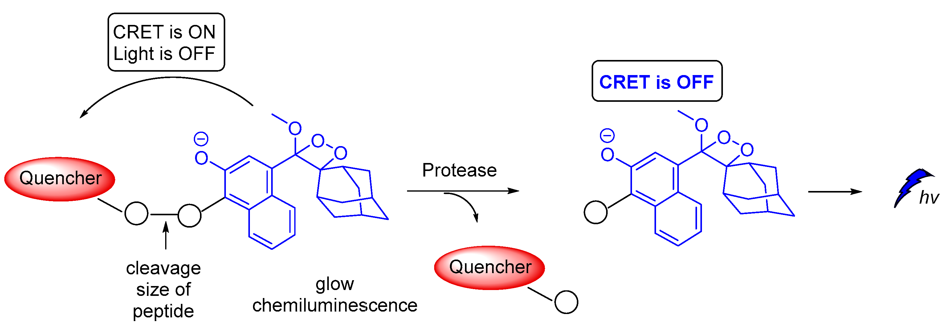 Molecules 26 07664 g020