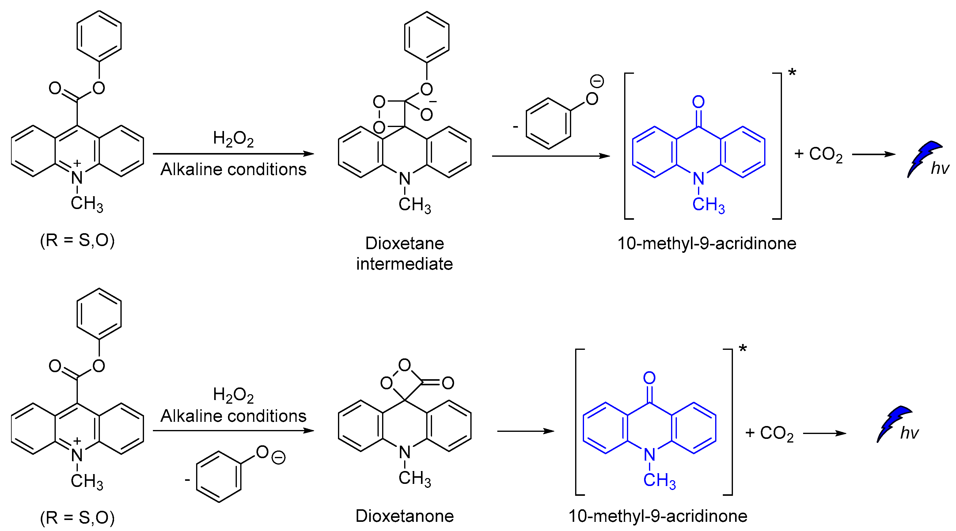 Molecules 26 07664 sch012