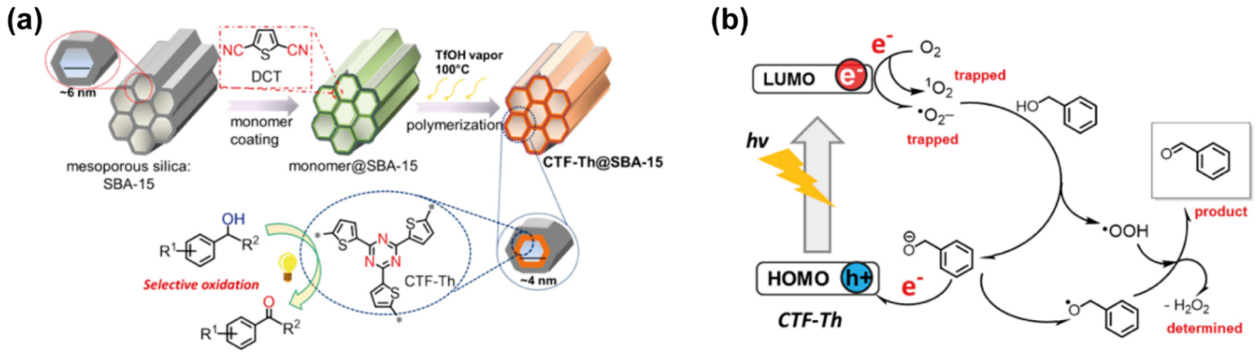 Molecules 26 07666 g002