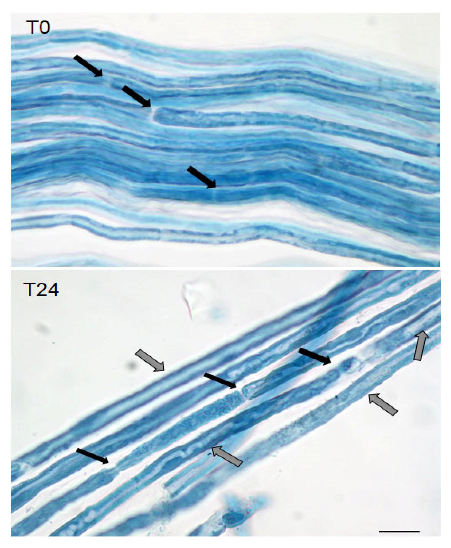 Molecules 26 07668 g001
