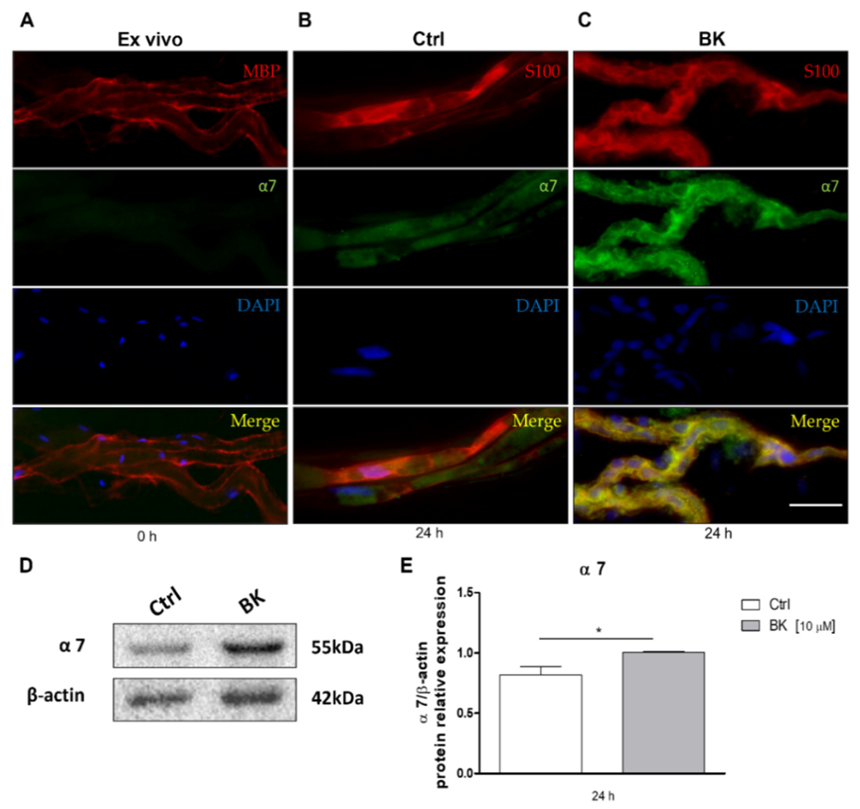 Molecules 26 07668 g002