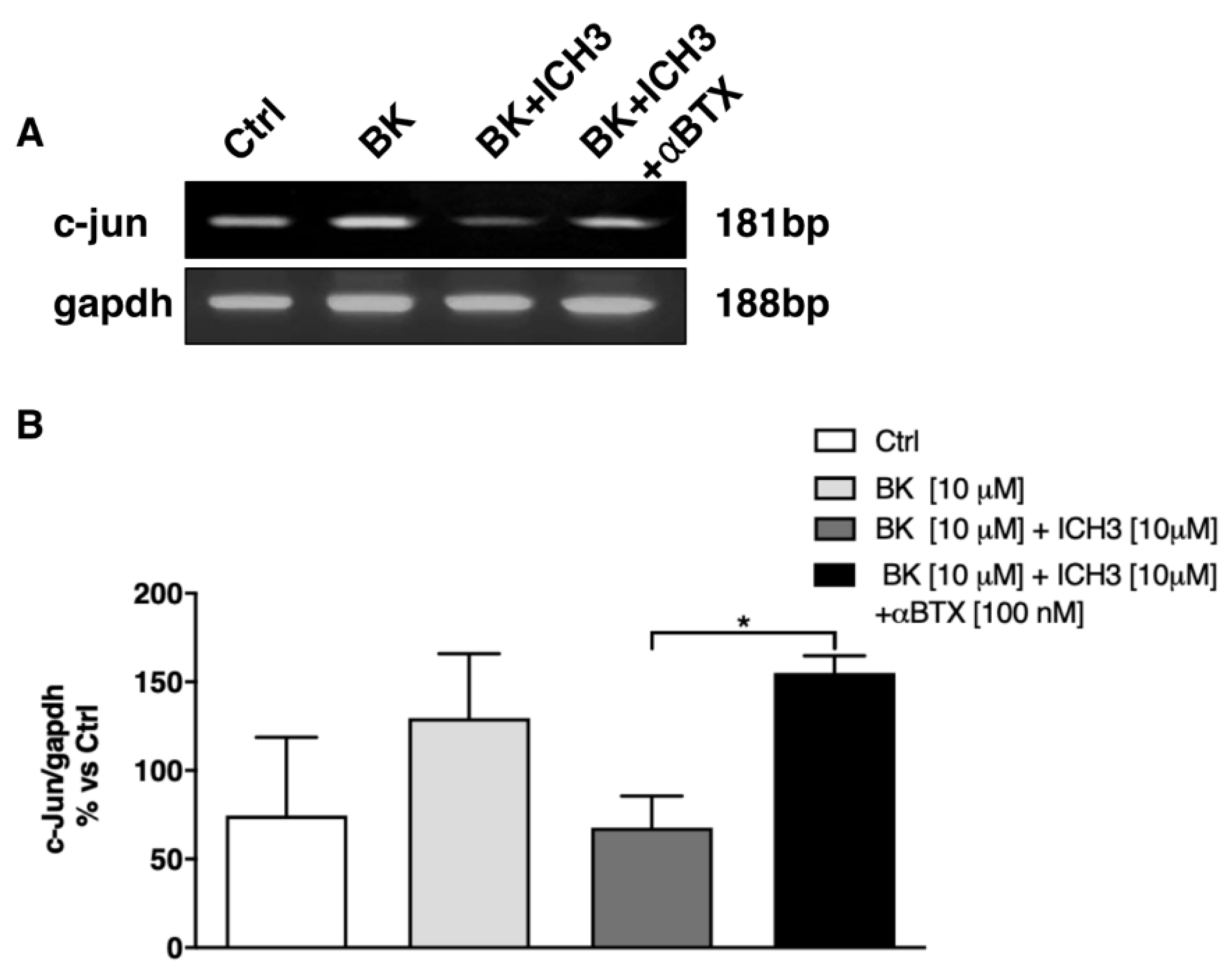 Molecules 26 07668 g003