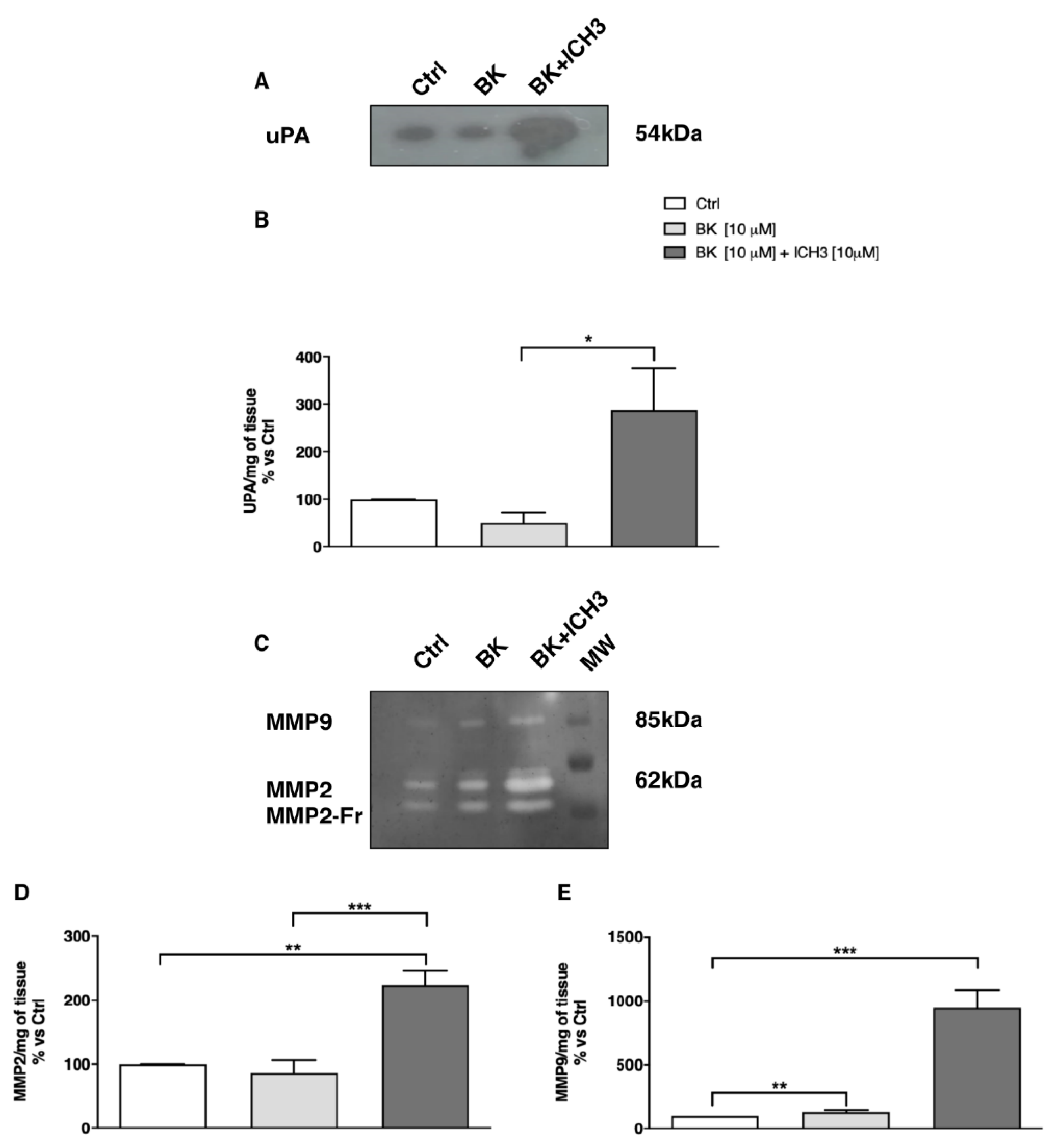 Molecules 26 07668 g005
