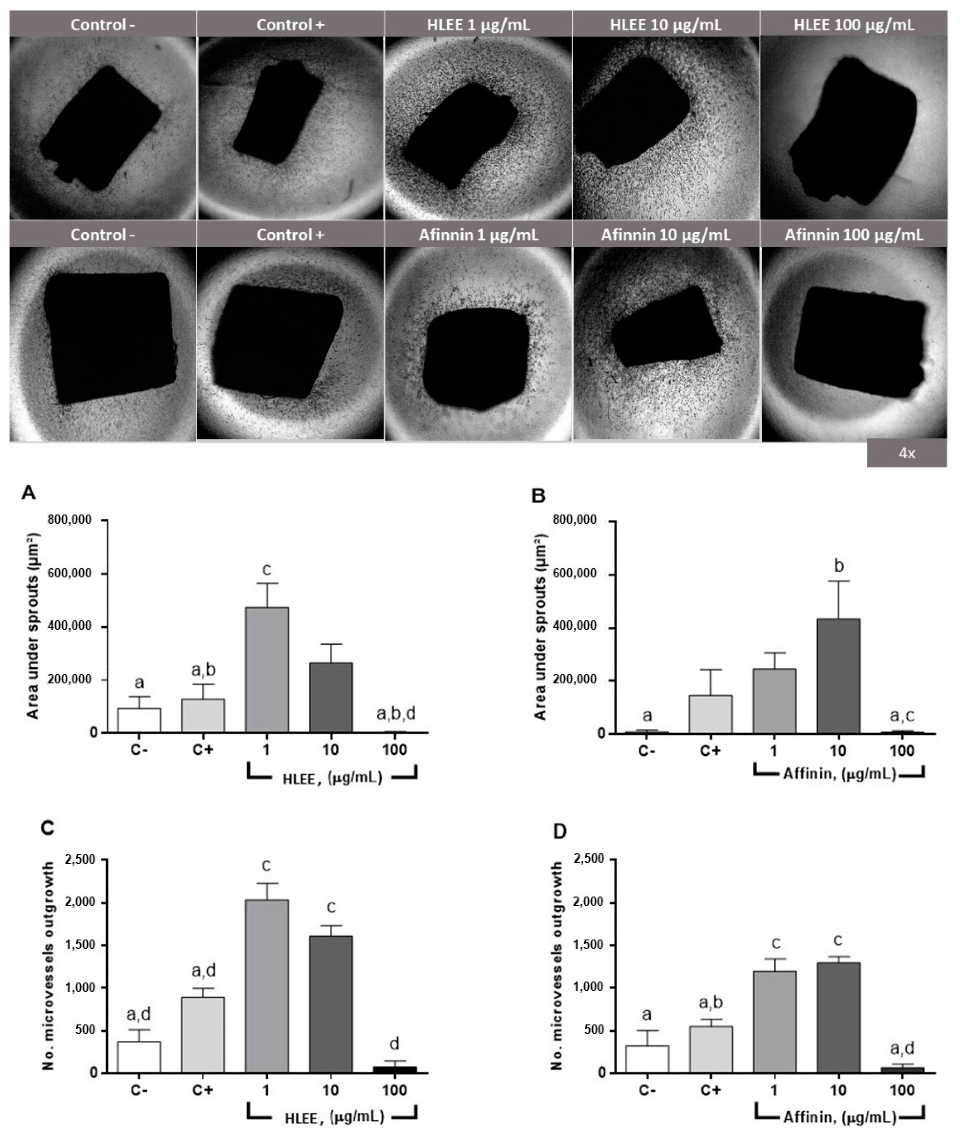 Molecules 26 07670 g003 Molecules 26 07670 g003