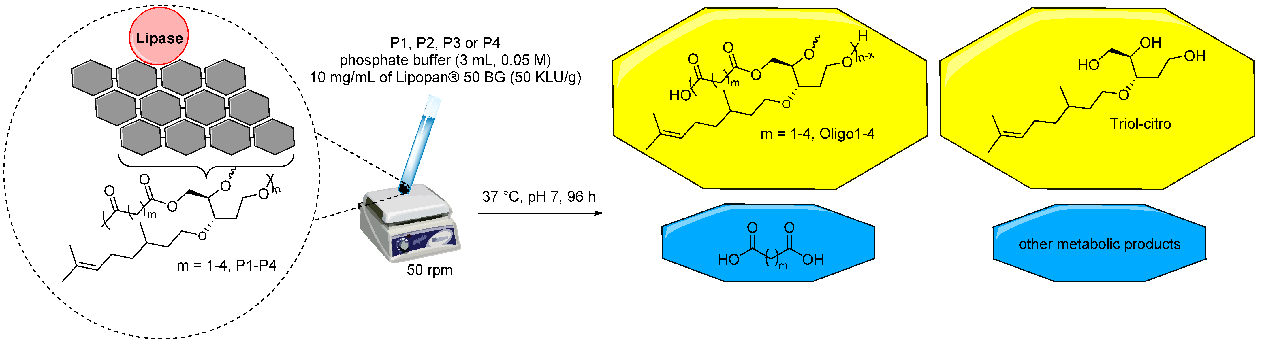 Molecules 26 07672 g003
