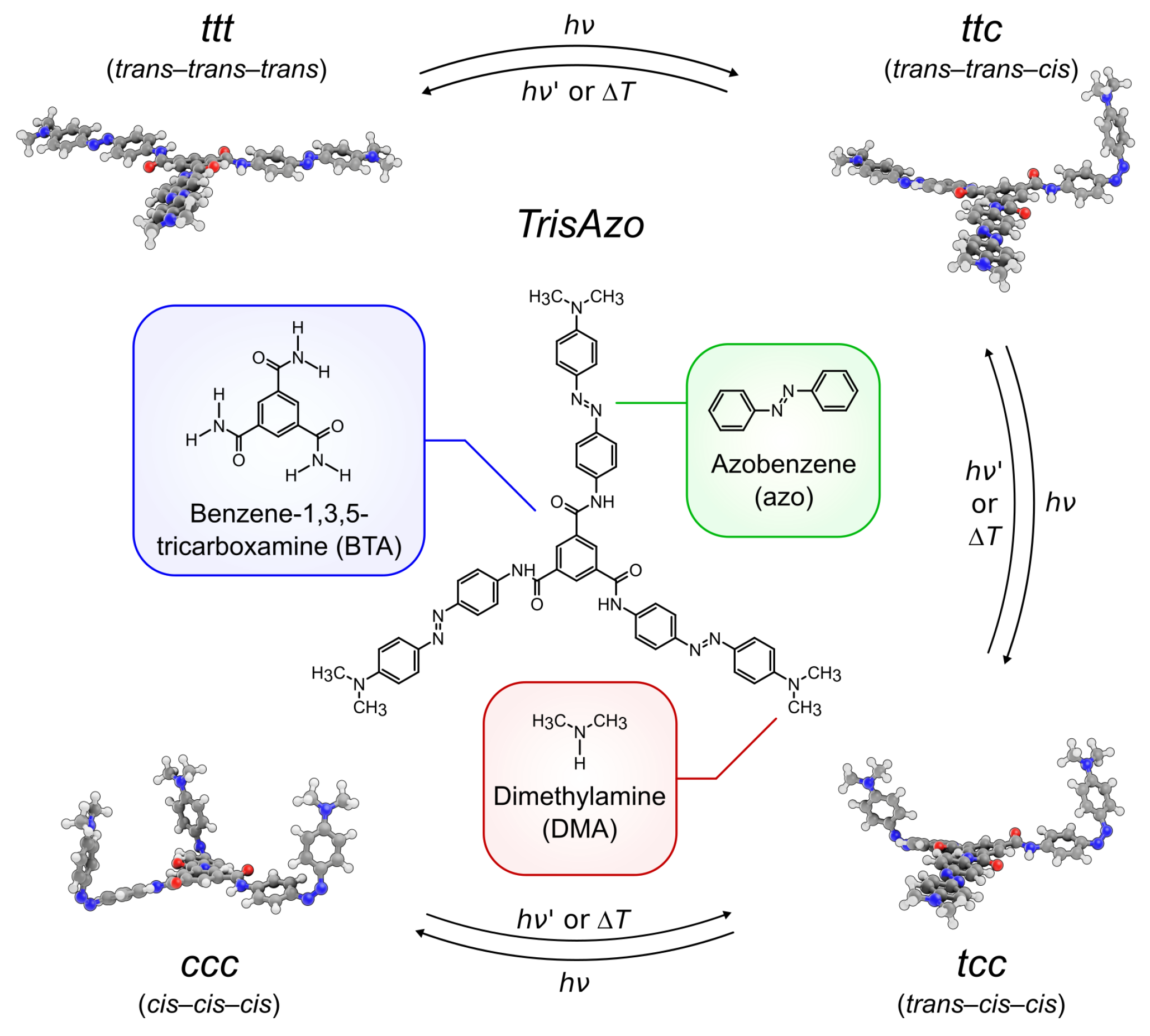 Molecules 26 07674 g001