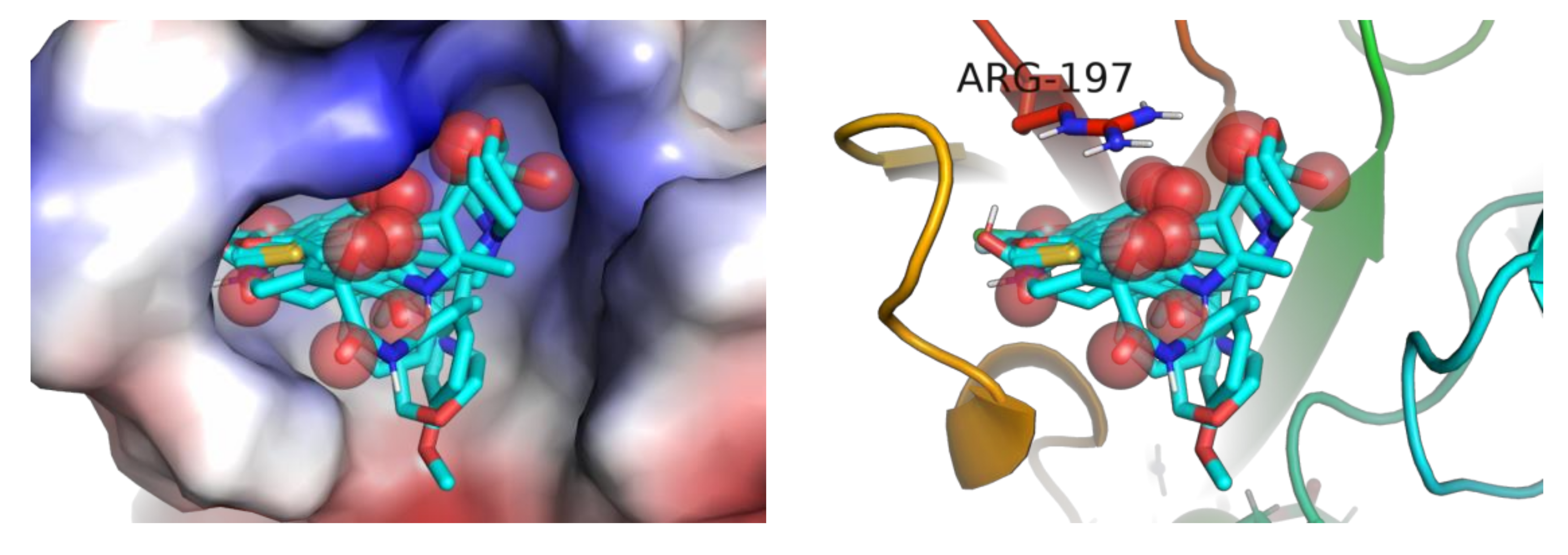 Molecules 26 07677 g009