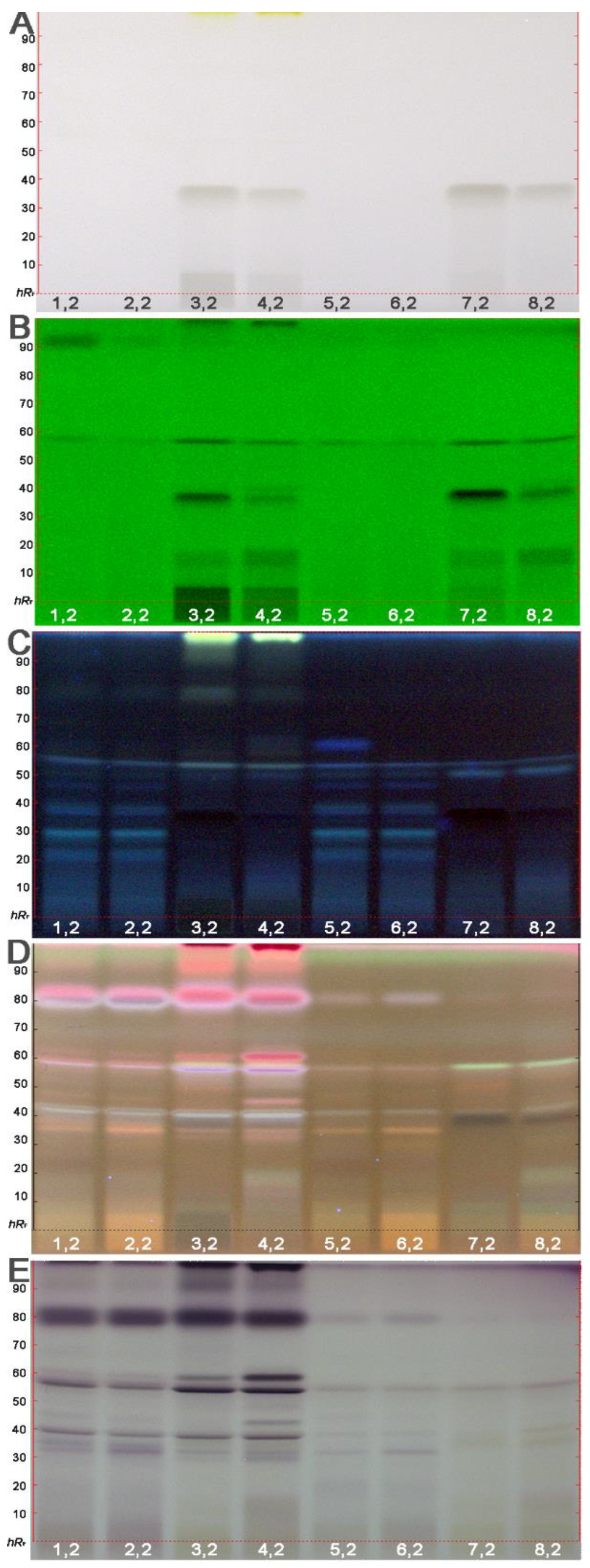 Molecules 26 07683 g003