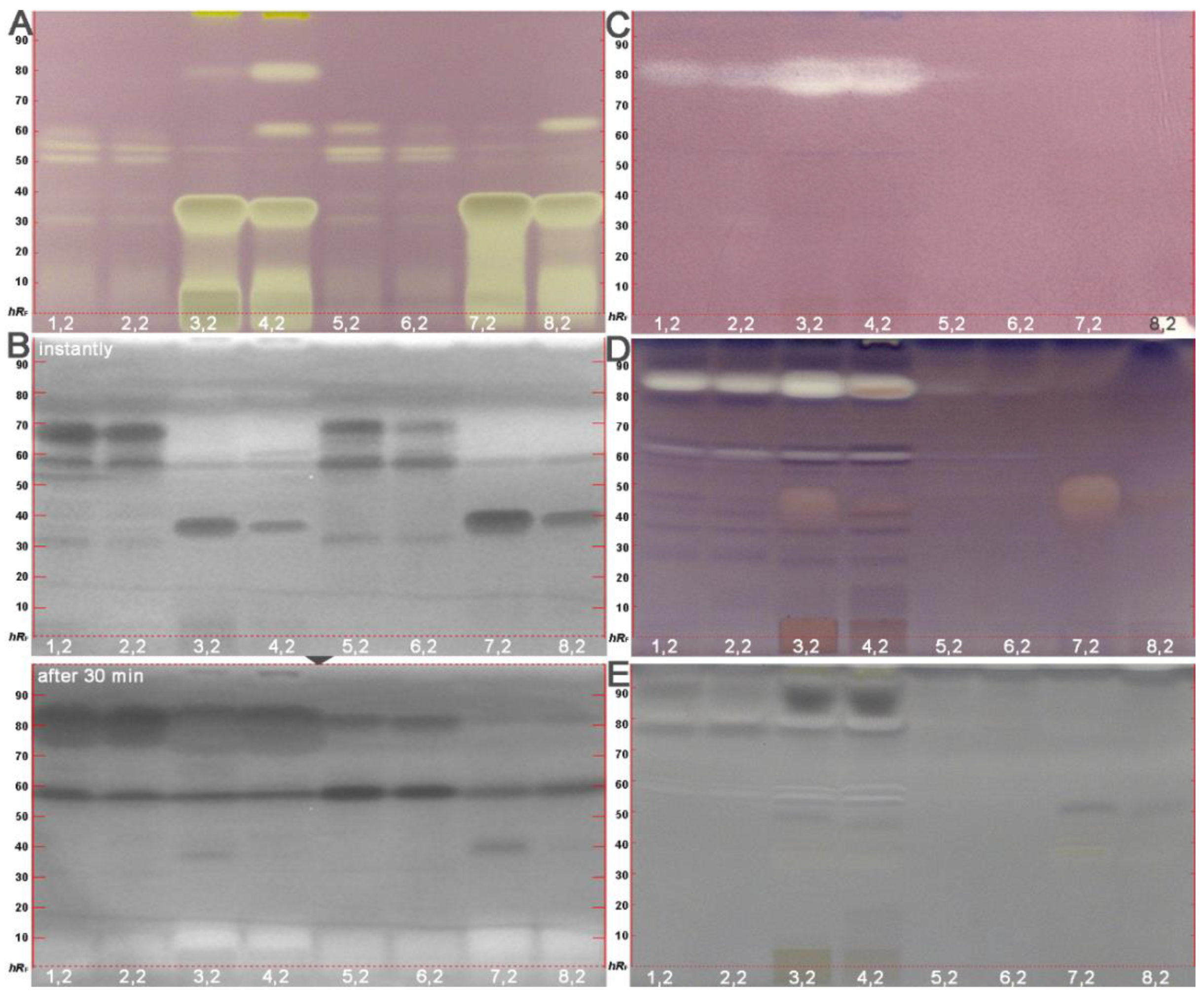 Molecules 26 07683 g004