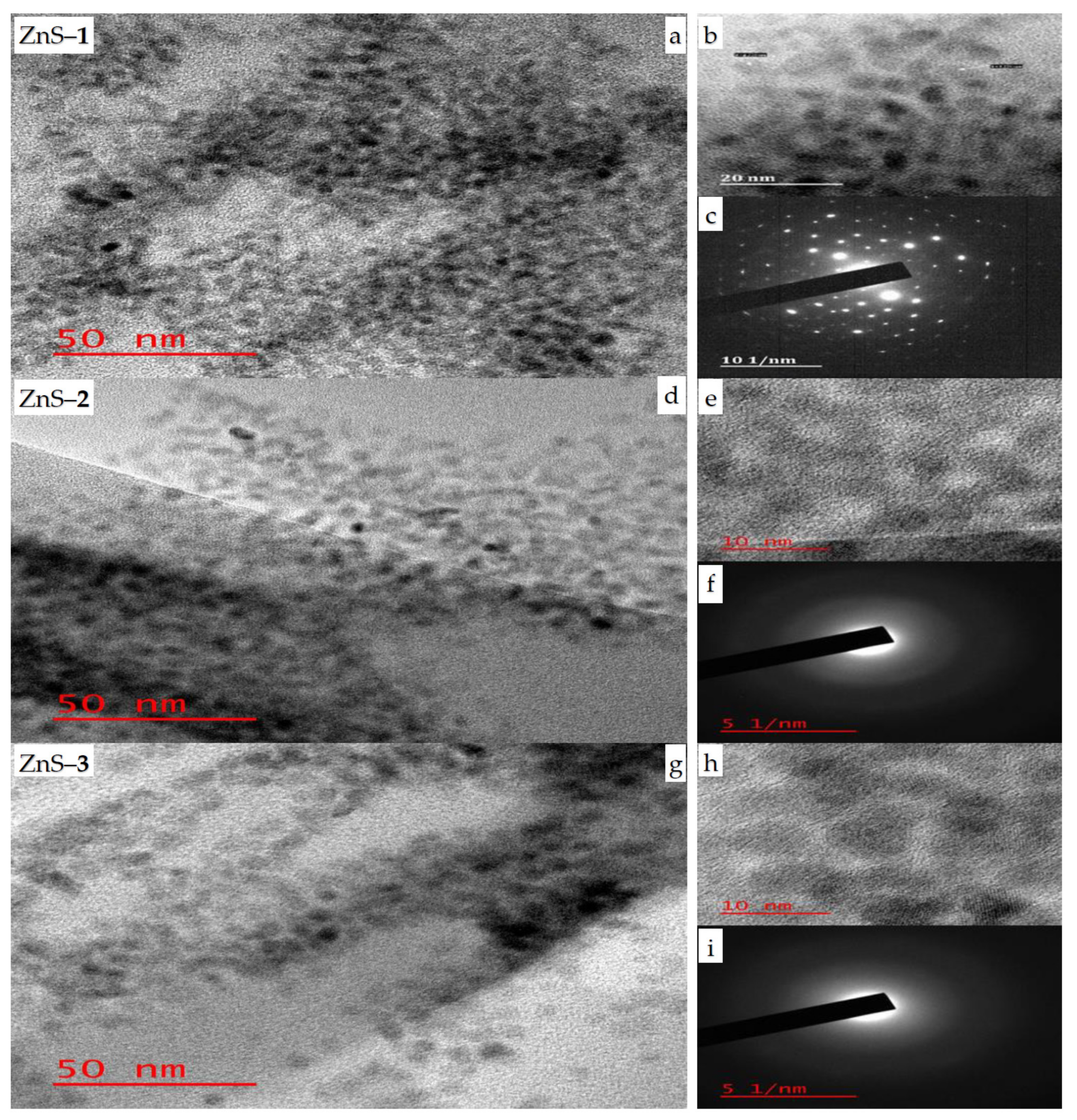 Molecules 26 07686 g001