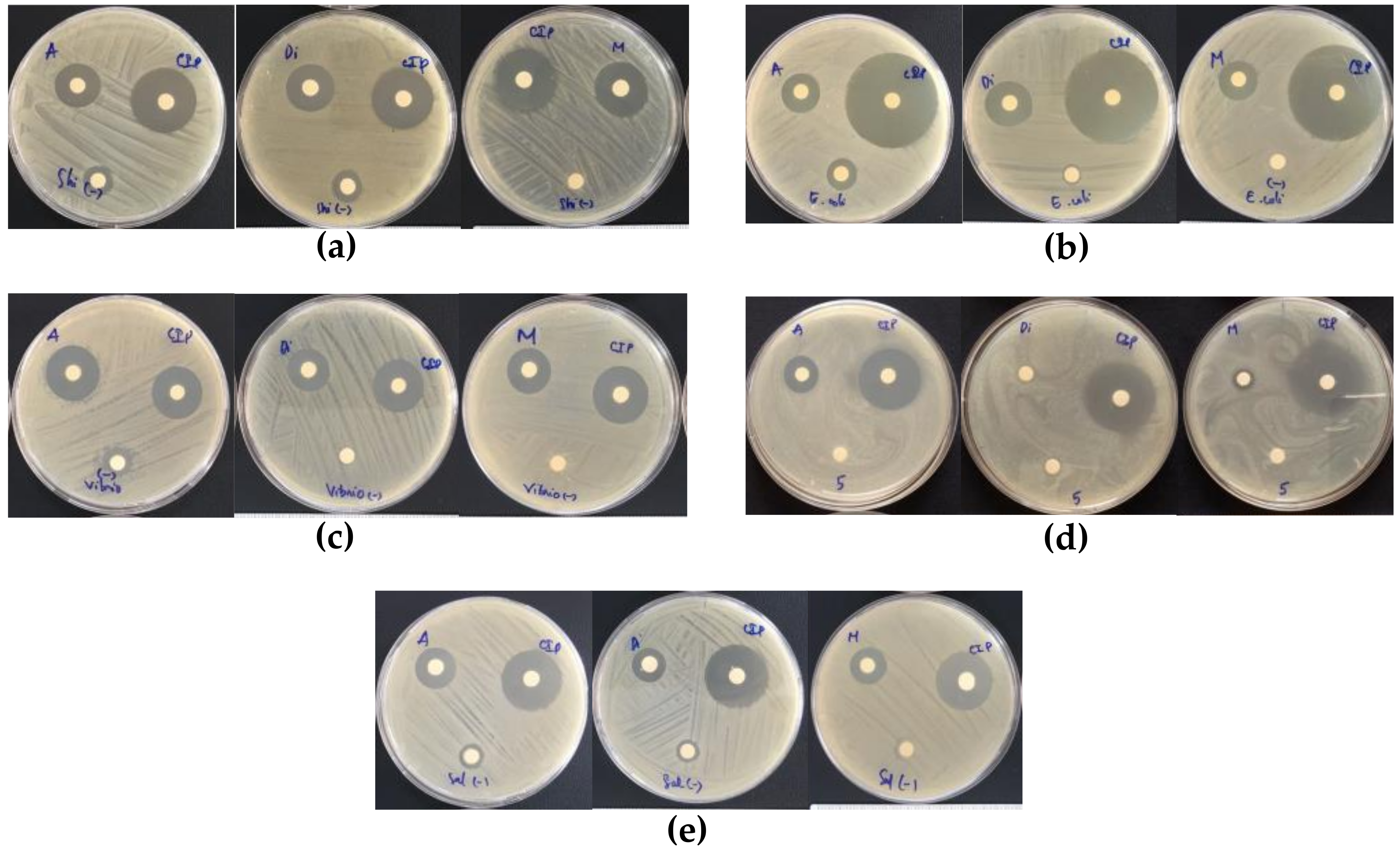 Molecules 26 07693 g004