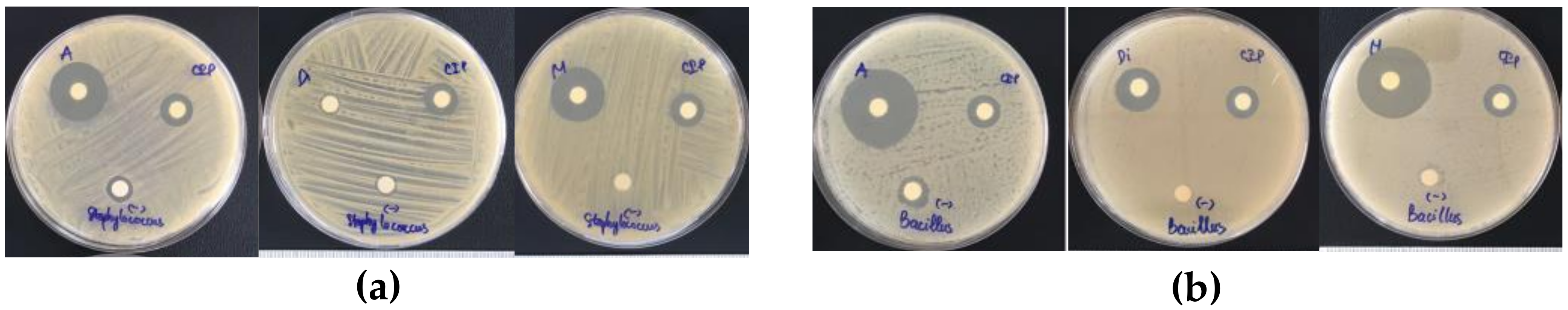 Molecules 26 07693 g005