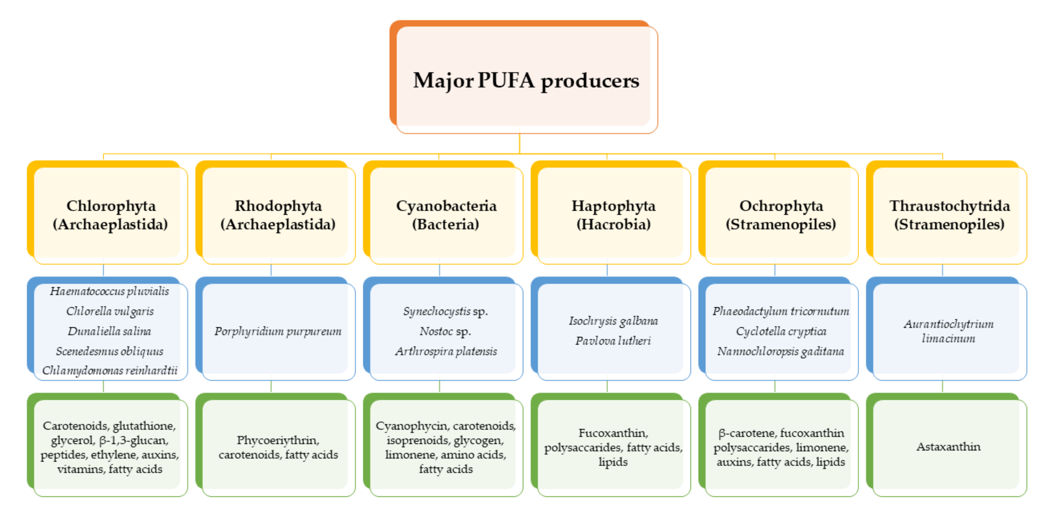 Molecules 26 07697 g001
