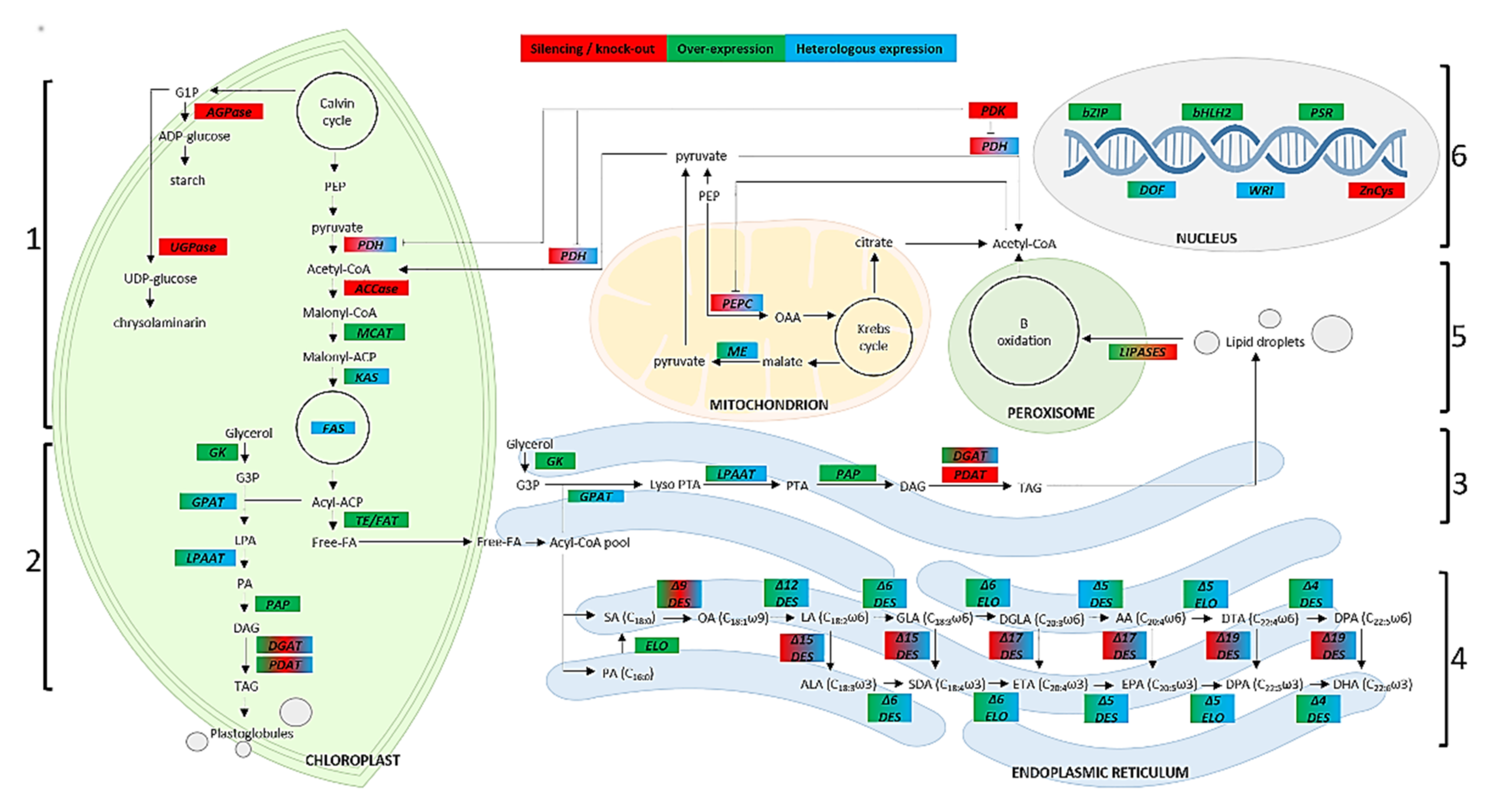 Molecules 26 07697 g002