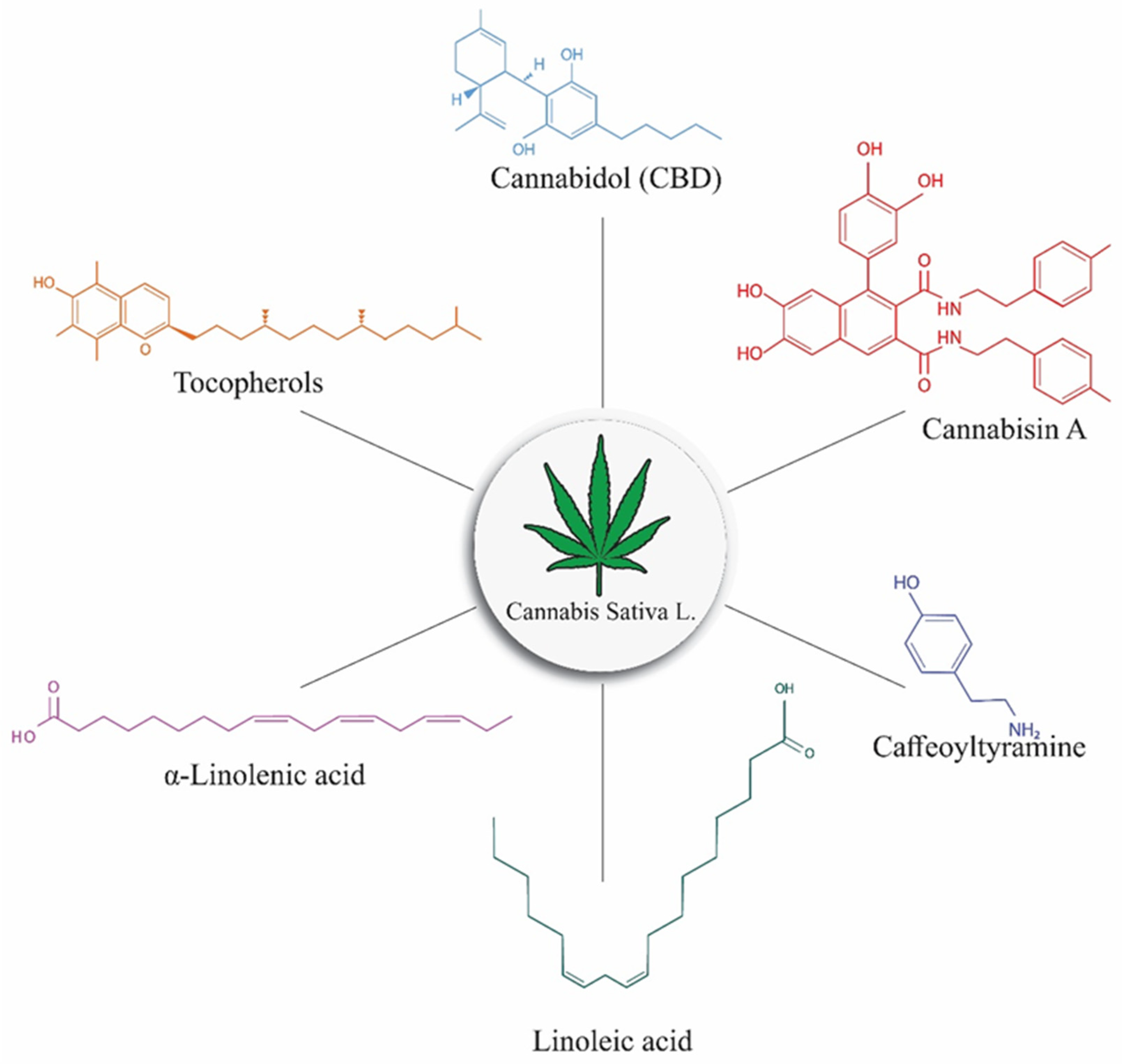 Molecules 26 07699 g001