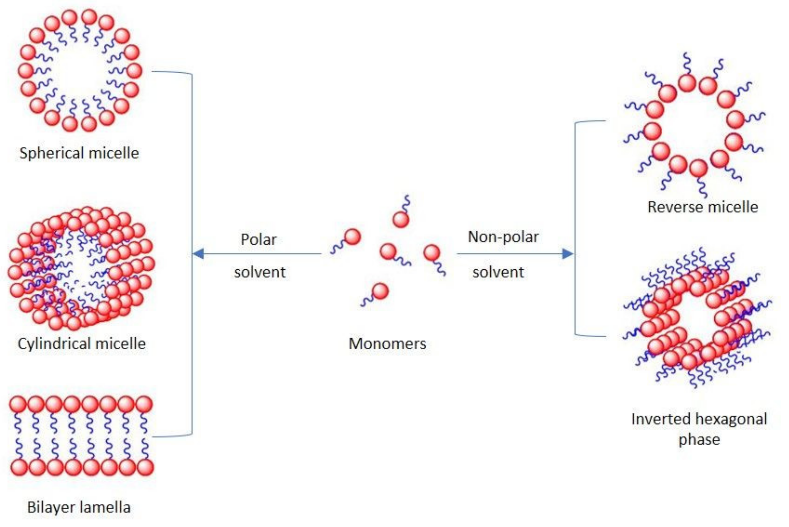 Molecules 26 07704 g001