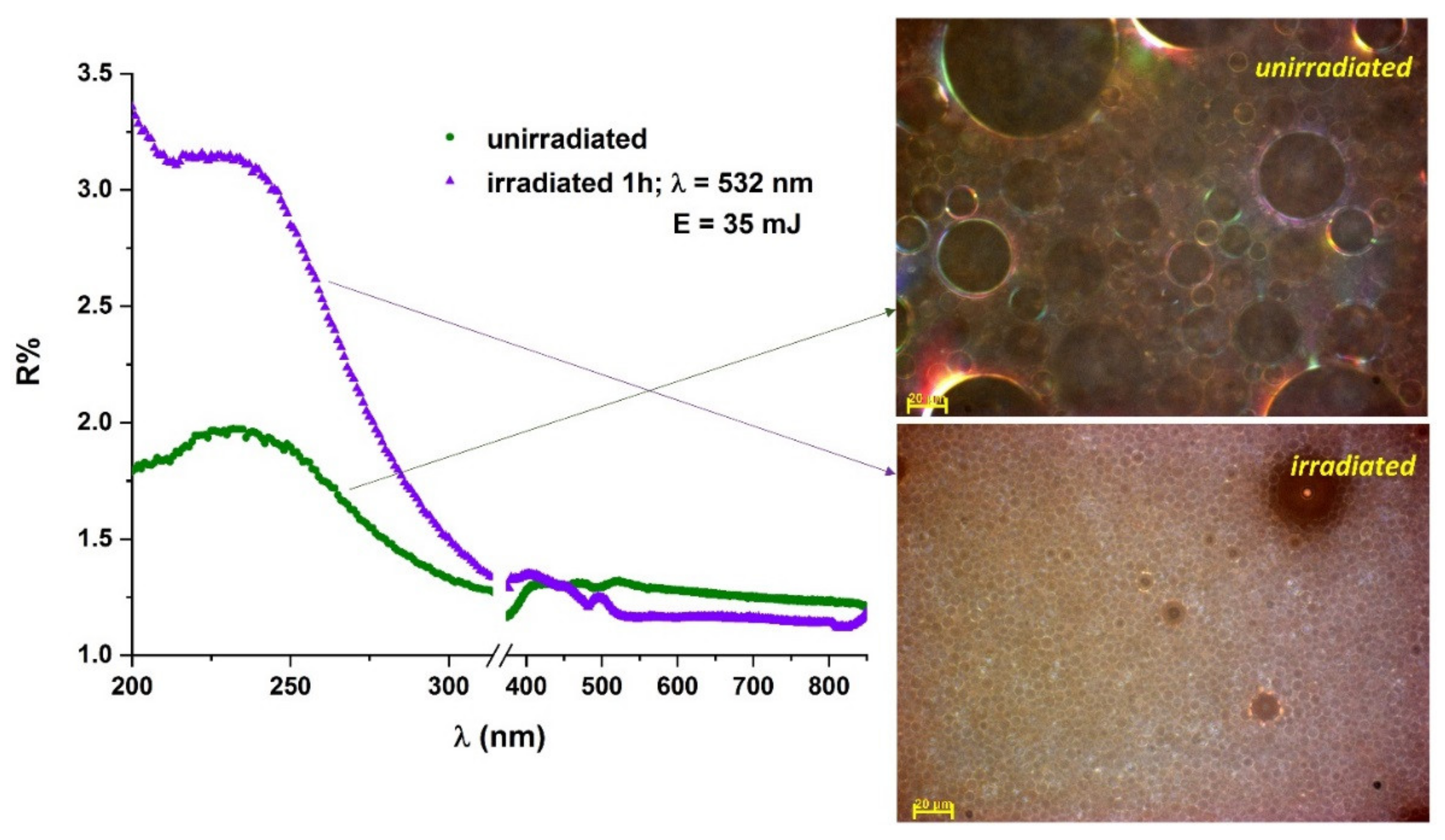 Molecules 26 07704 g006