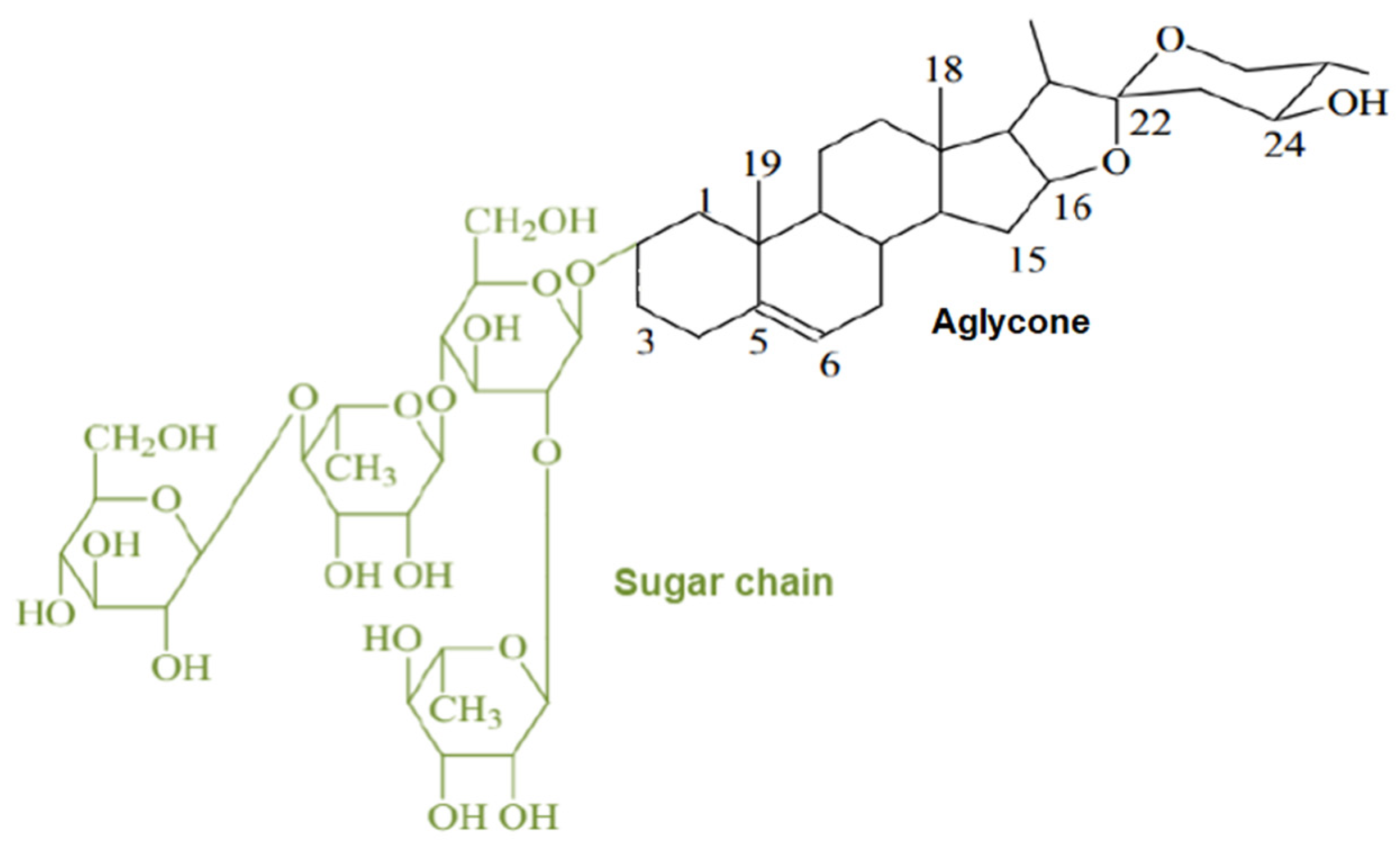 Molecules 26 07705 g001